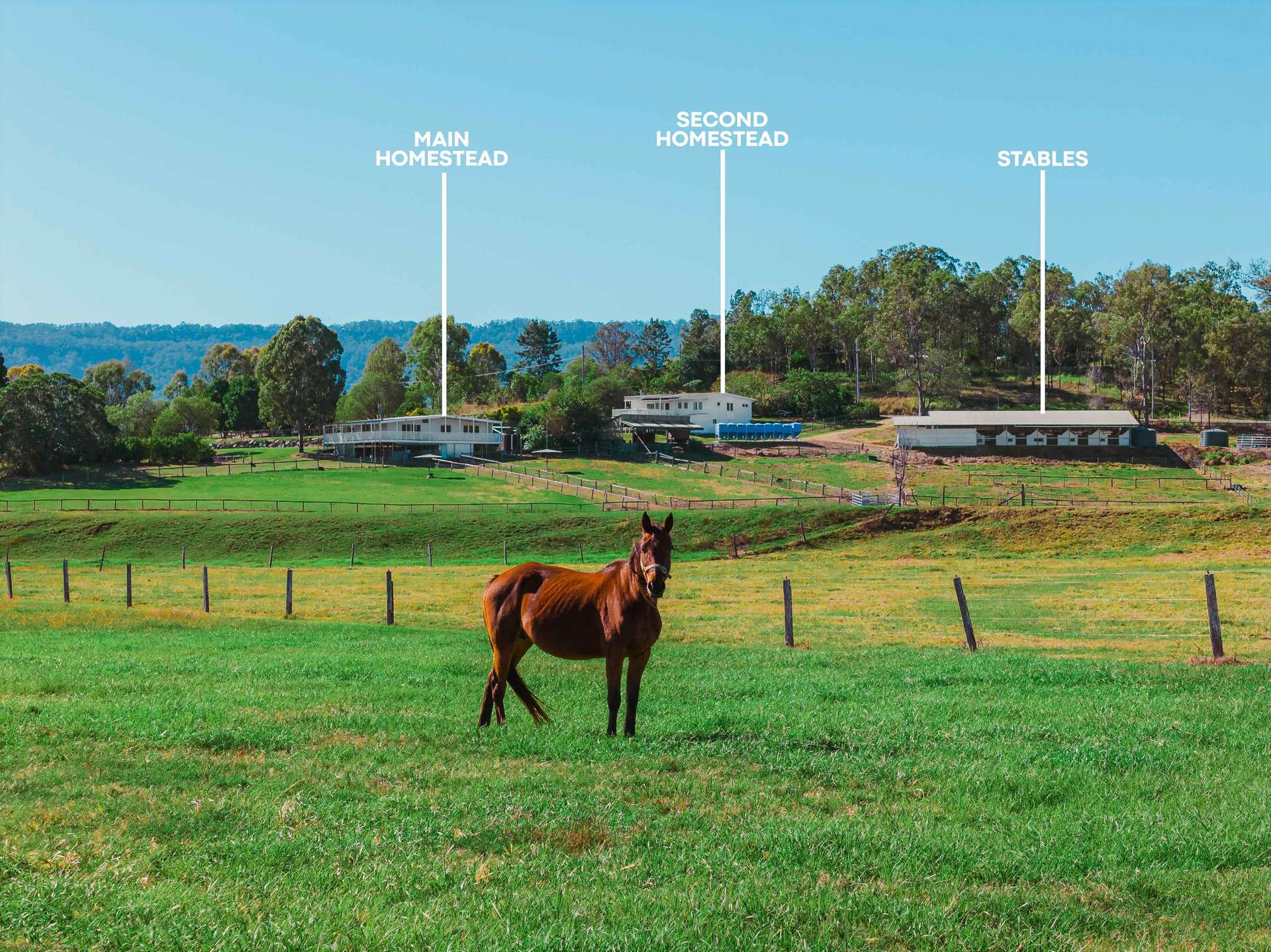 3272 Beaudesert Nerang Road, Biddaddaba For Sale by Farmbuy.com - image 1