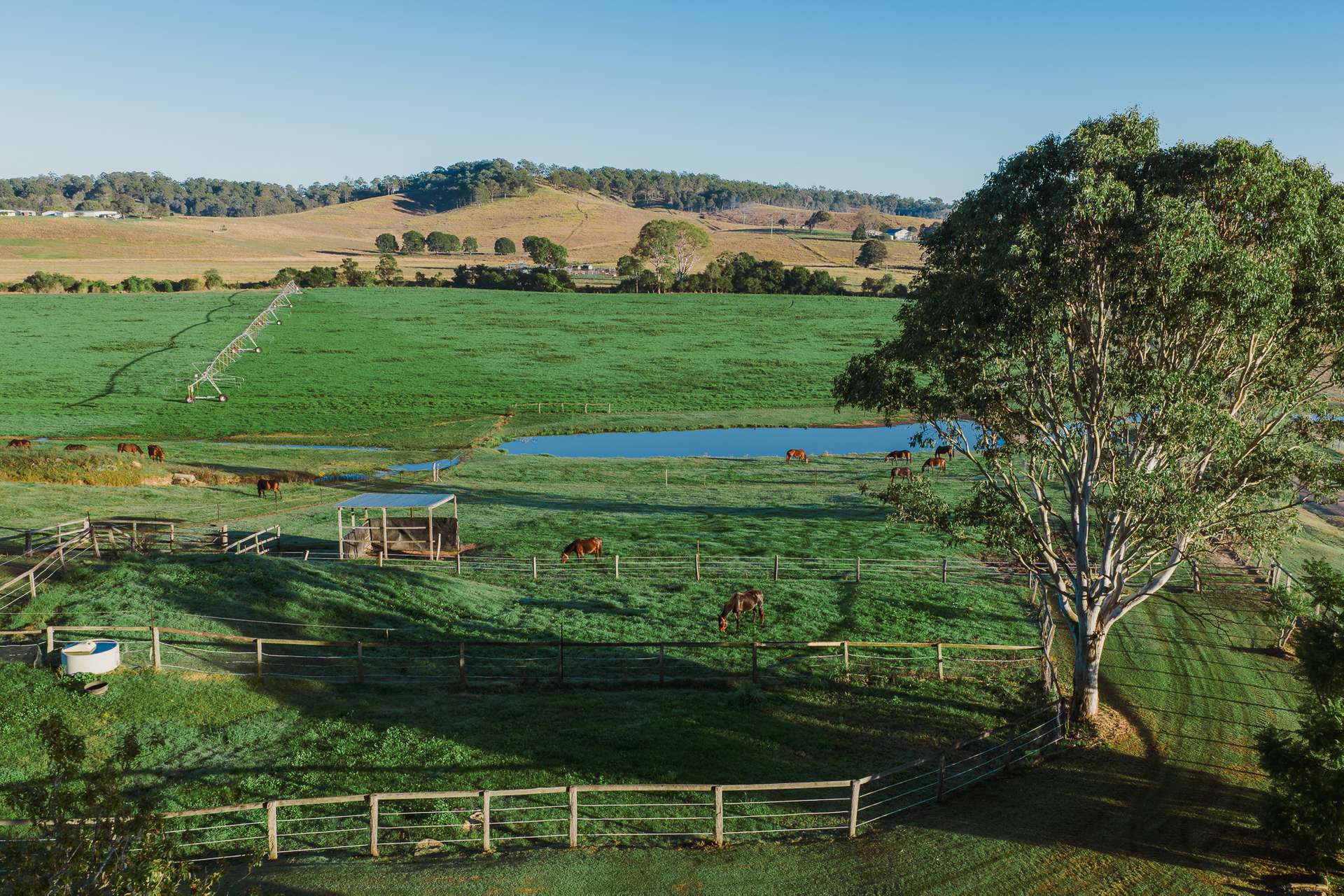 3272 Beaudesert Nerang Road, Biddaddaba For Sale by Farmbuy.com - image 7