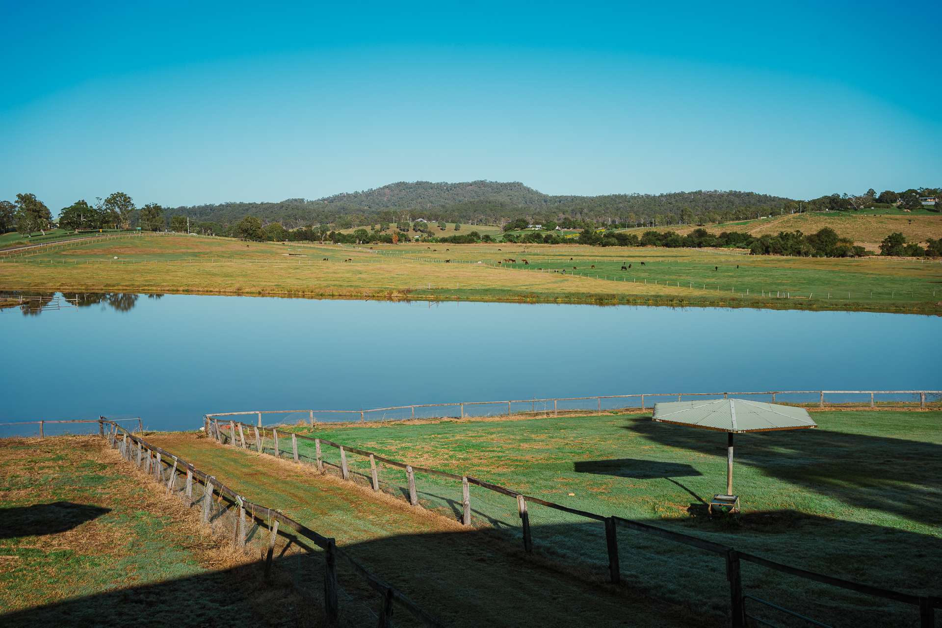 3272 Beaudesert Nerang Road, Biddaddaba For Sale by Farmbuy.com - image 18