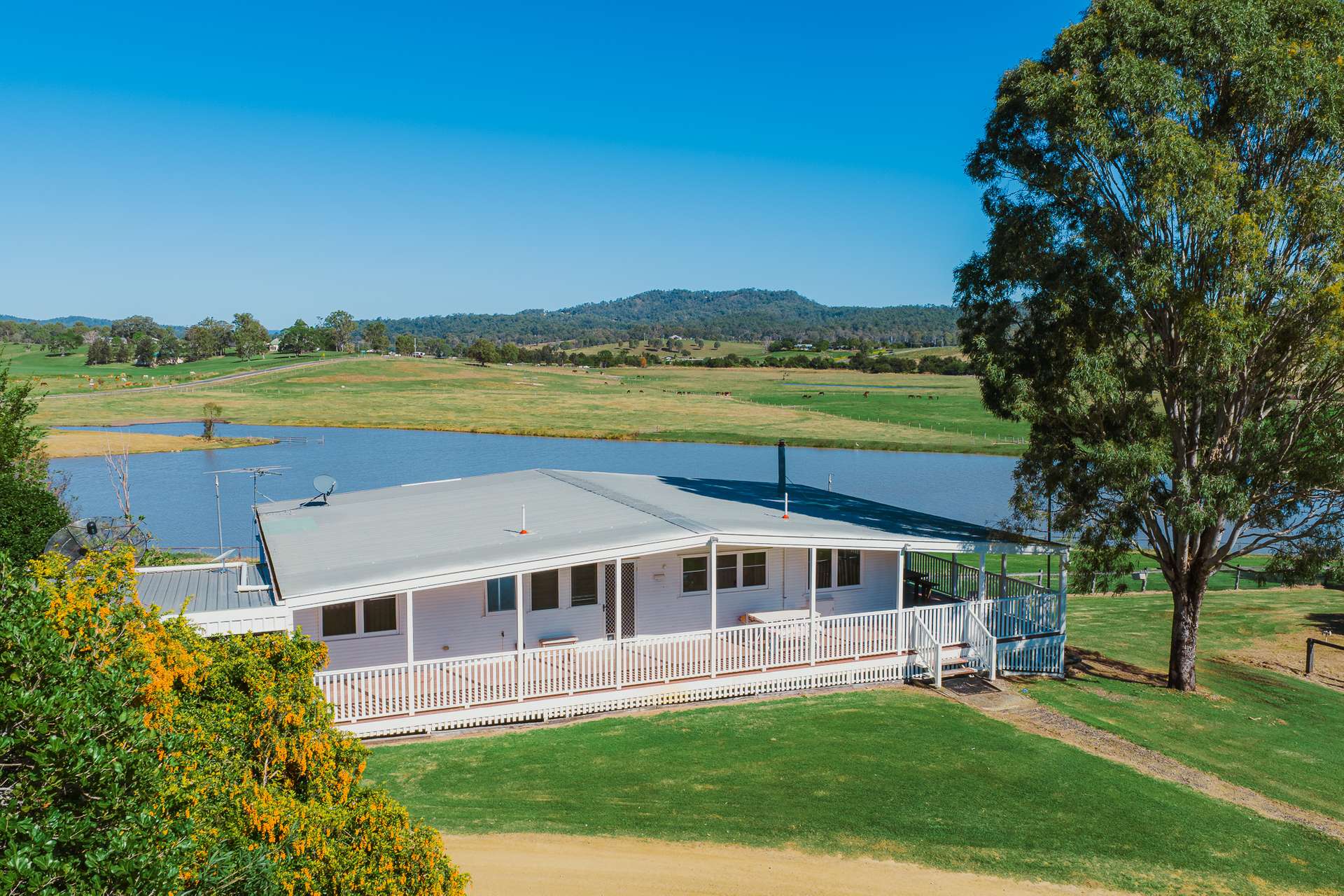 3272 Beaudesert Nerang Road, Biddaddaba For Sale by Farmbuy.com - image 2