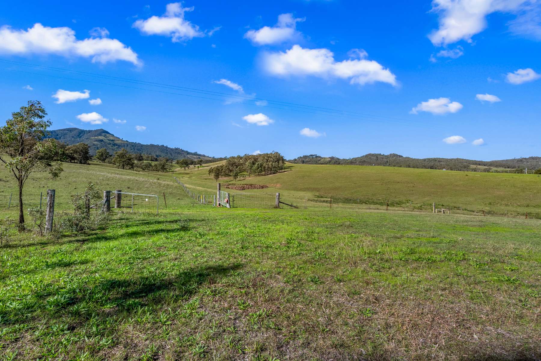 170 Carrowbrook Road, Singleton For Sale by Farmbuy.com - image 28