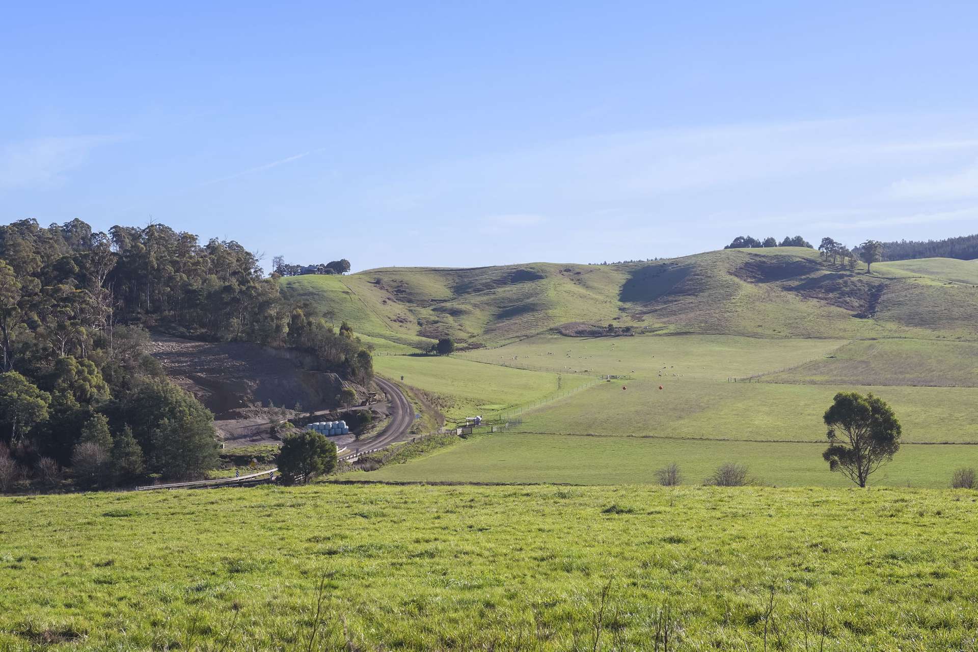 58 Gundagai Road, Bangor Auction by Farmbuy.com - image 2