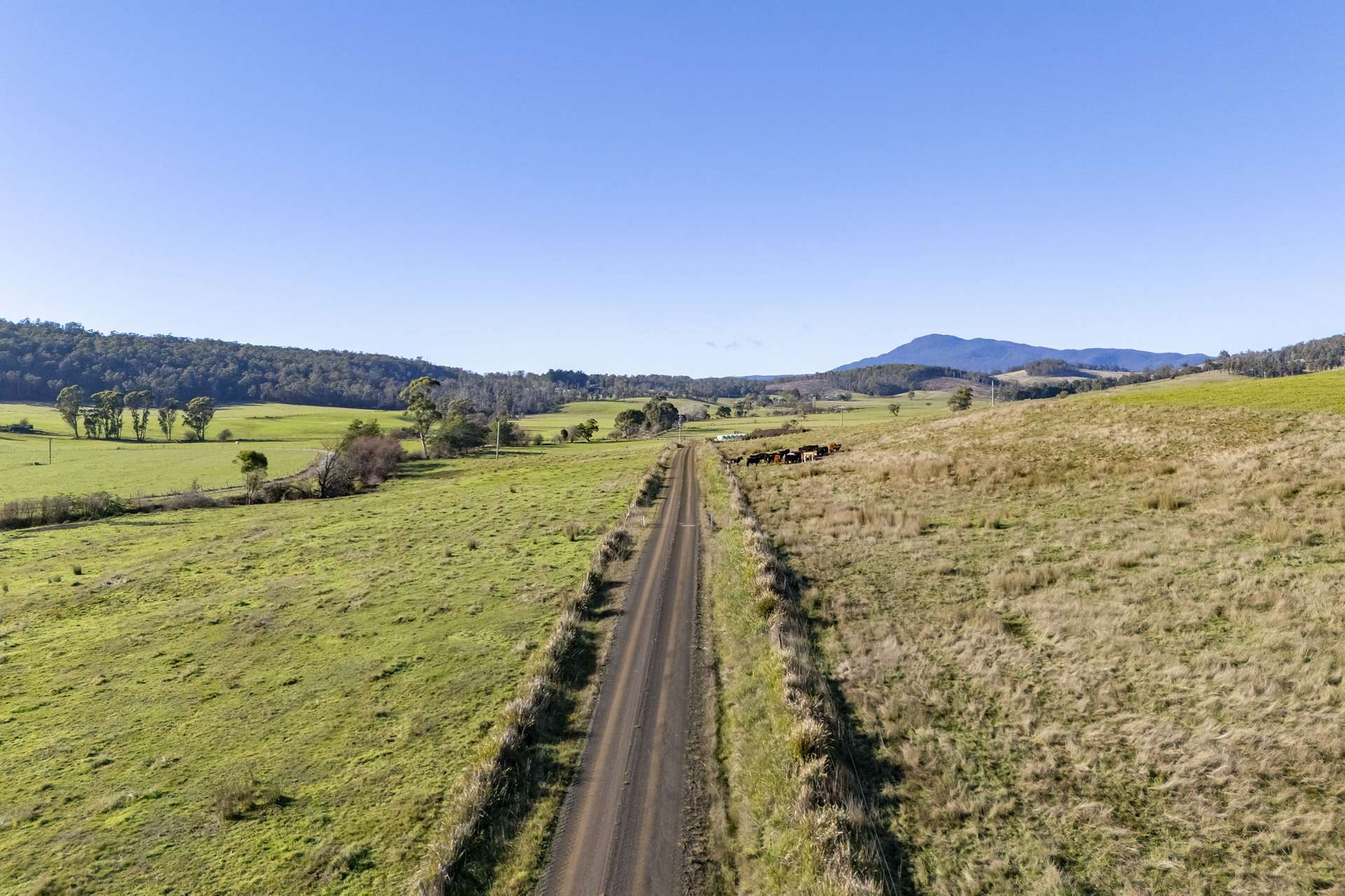 58 Gundagai Road, Bangor Auction by Farmbuy.com - image 15
