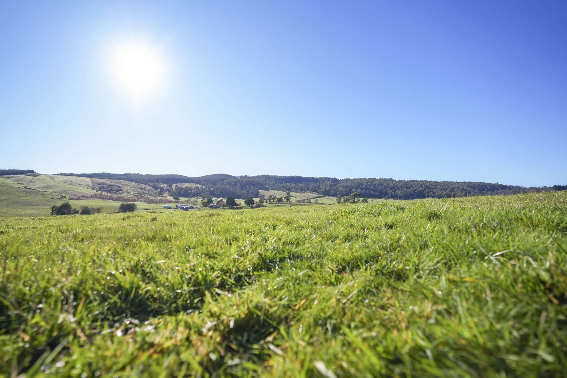 58 Gundagai Road, Bangor Auction by Farmbuy.com - image 17