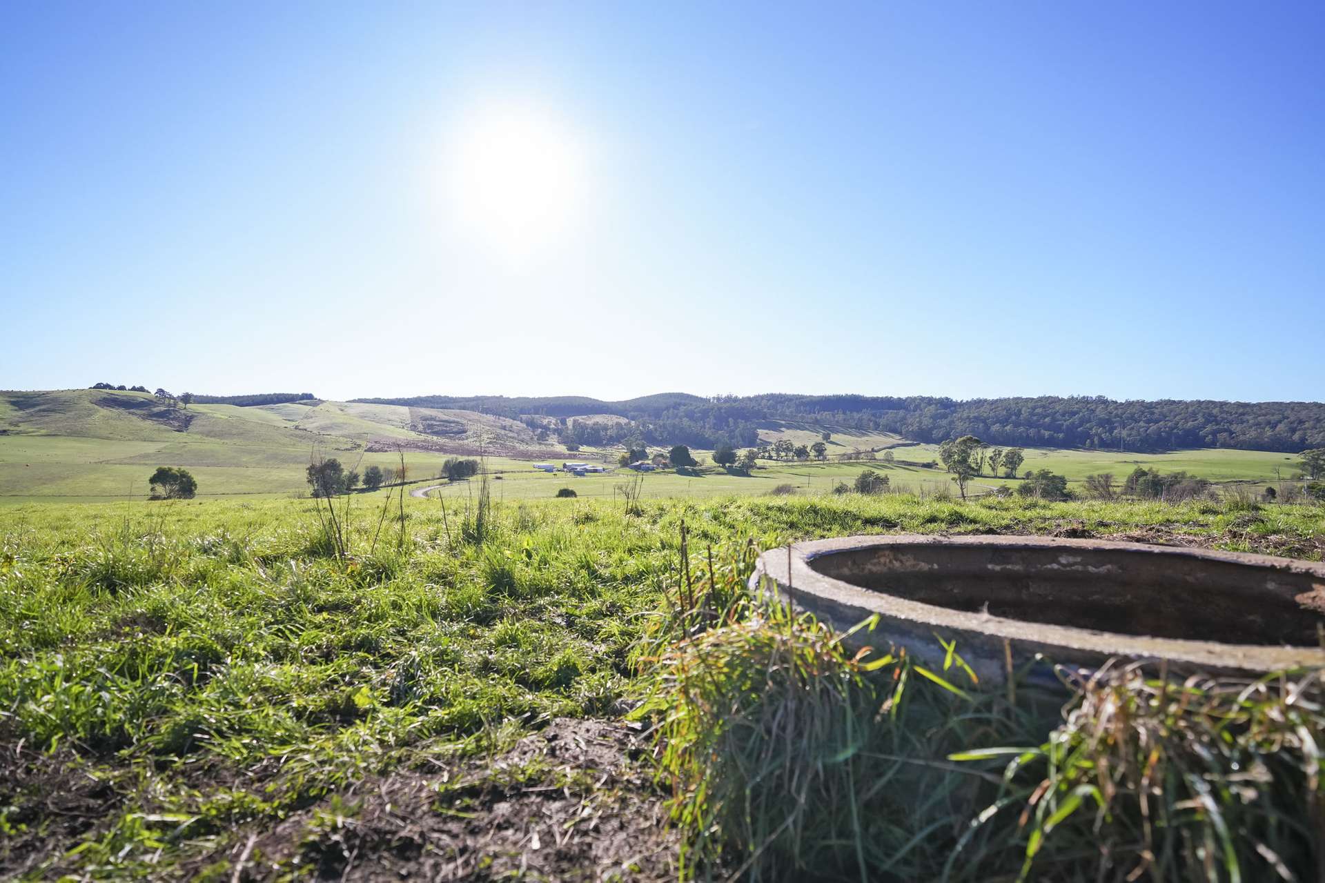 58 Gundagai Road, Bangor Auction by Farmbuy.com - image 19