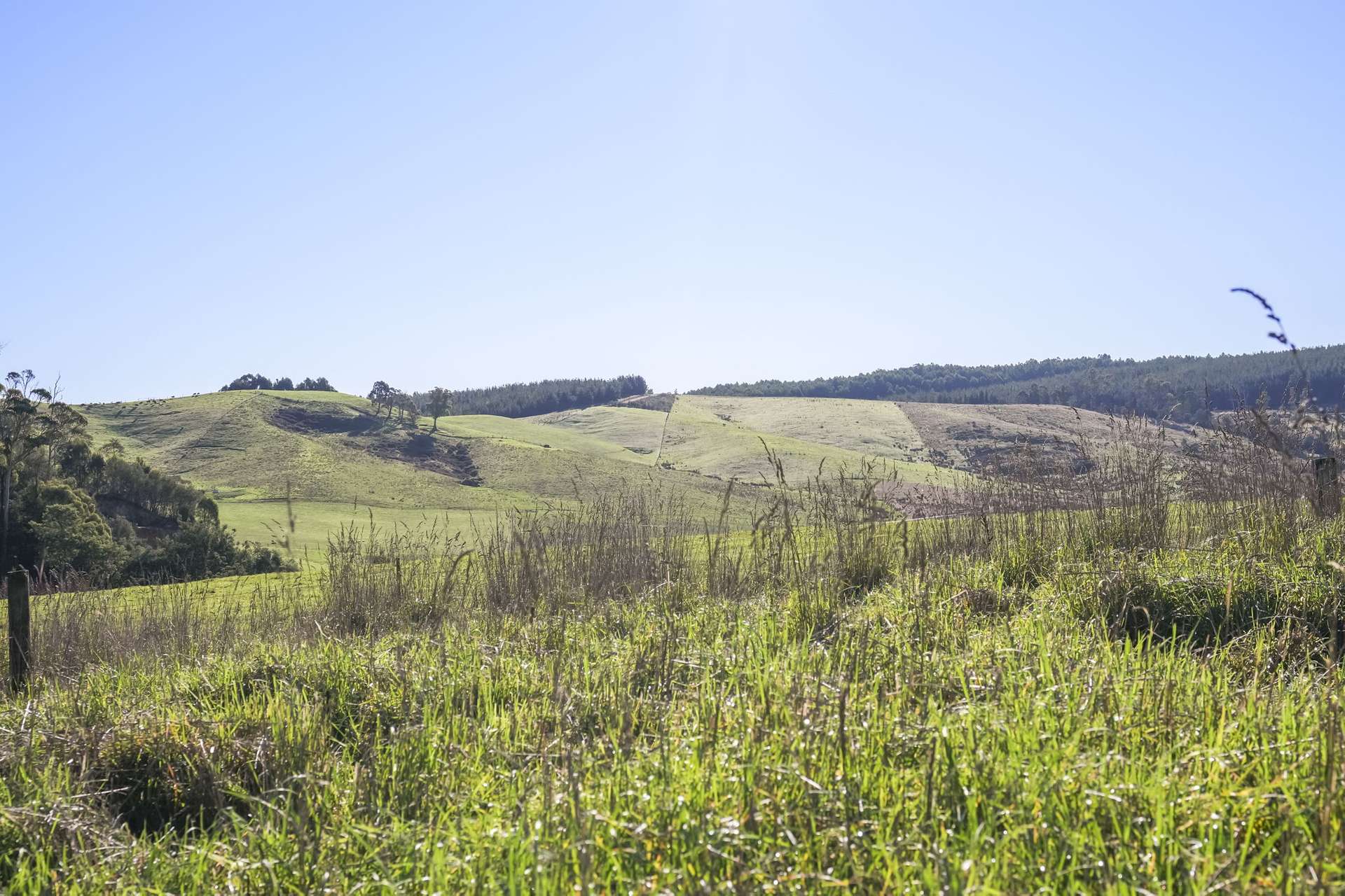 58 Gundagai Road, Bangor Auction by Farmbuy.com - image 21