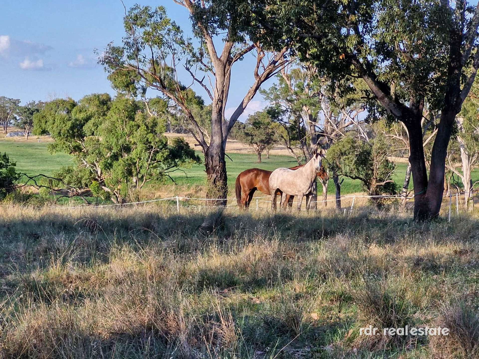 Bundarra For Sale by Farmbuy.com - image 20