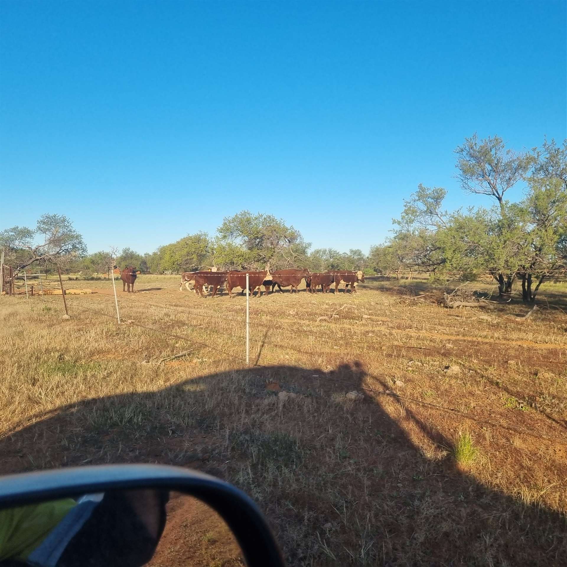 Koonmarra Station, Meekatharra For Sale by Farmbuy.com - image 16