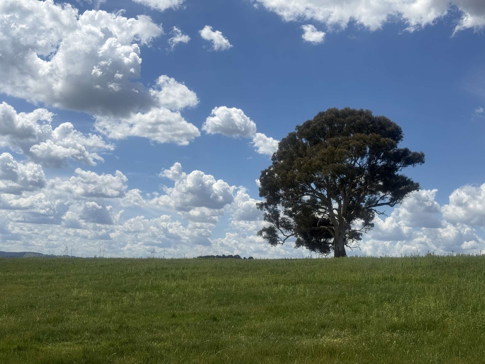 161 Yass Valley Way, Yass For Sale by Farmbuy.com - image 6