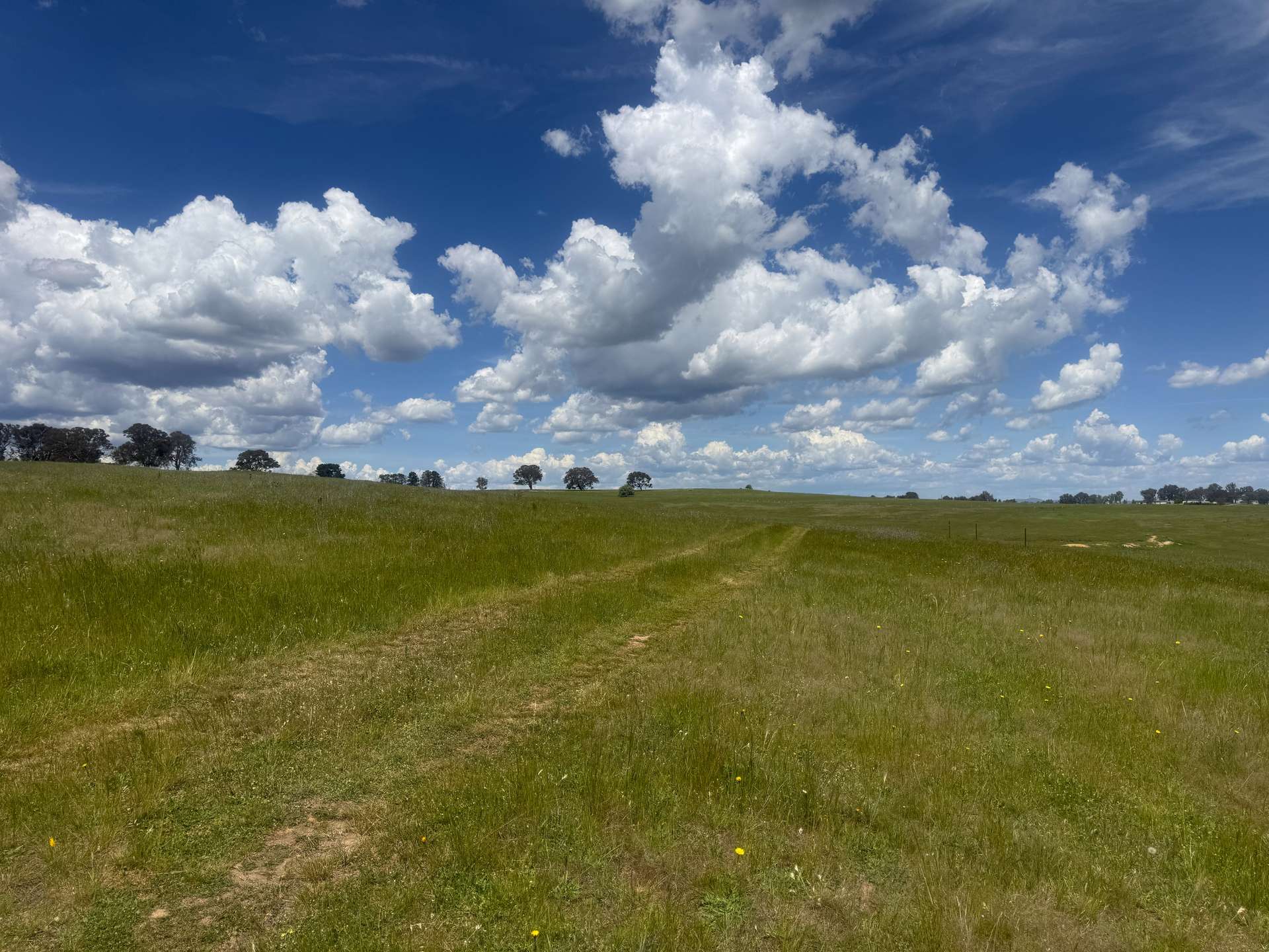 161 Yass Valley Way, Yass For Sale by Farmbuy.com - image 8