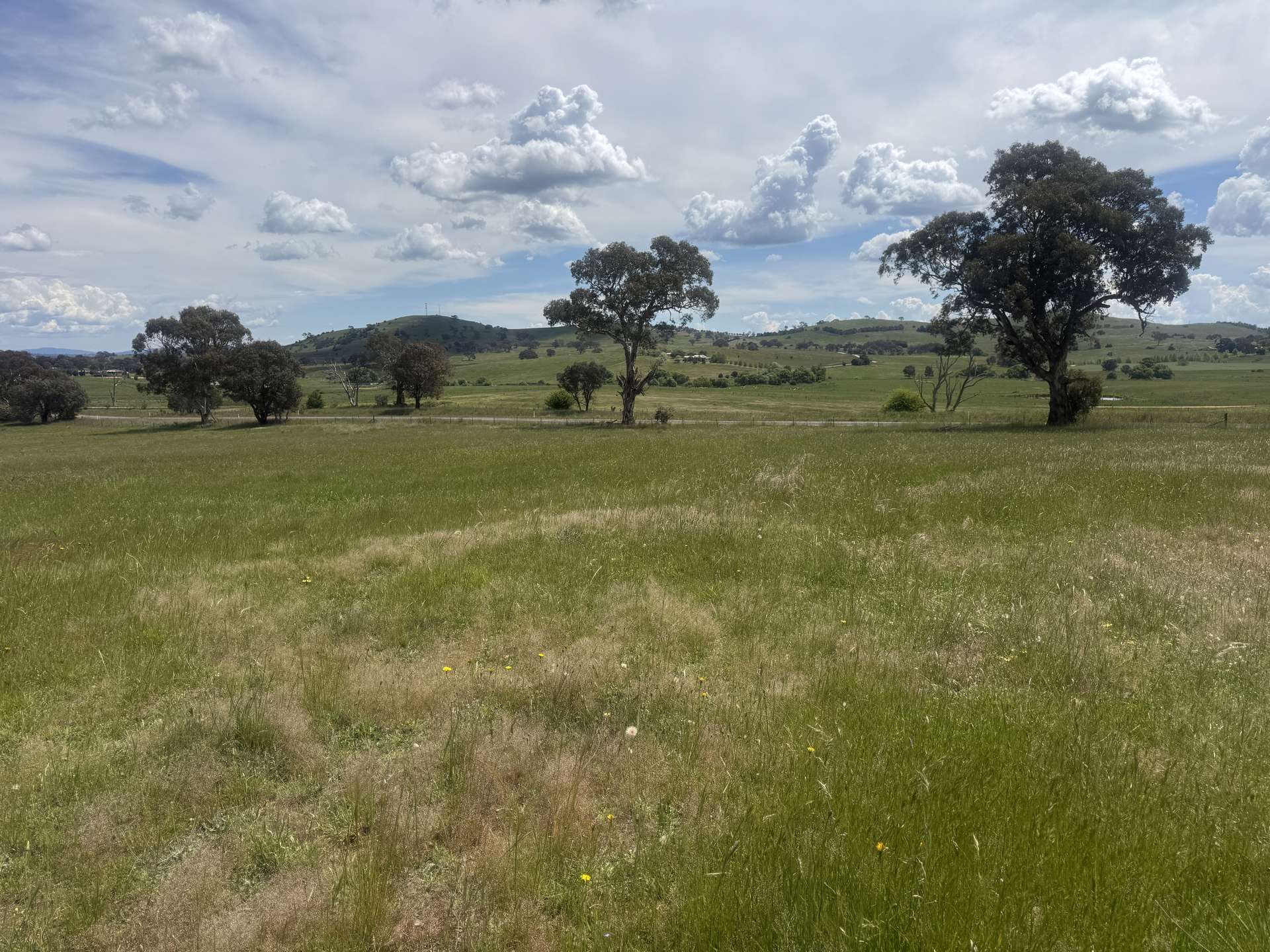 161 Yass Valley Way, Yass For Sale by Farmbuy.com - image 3