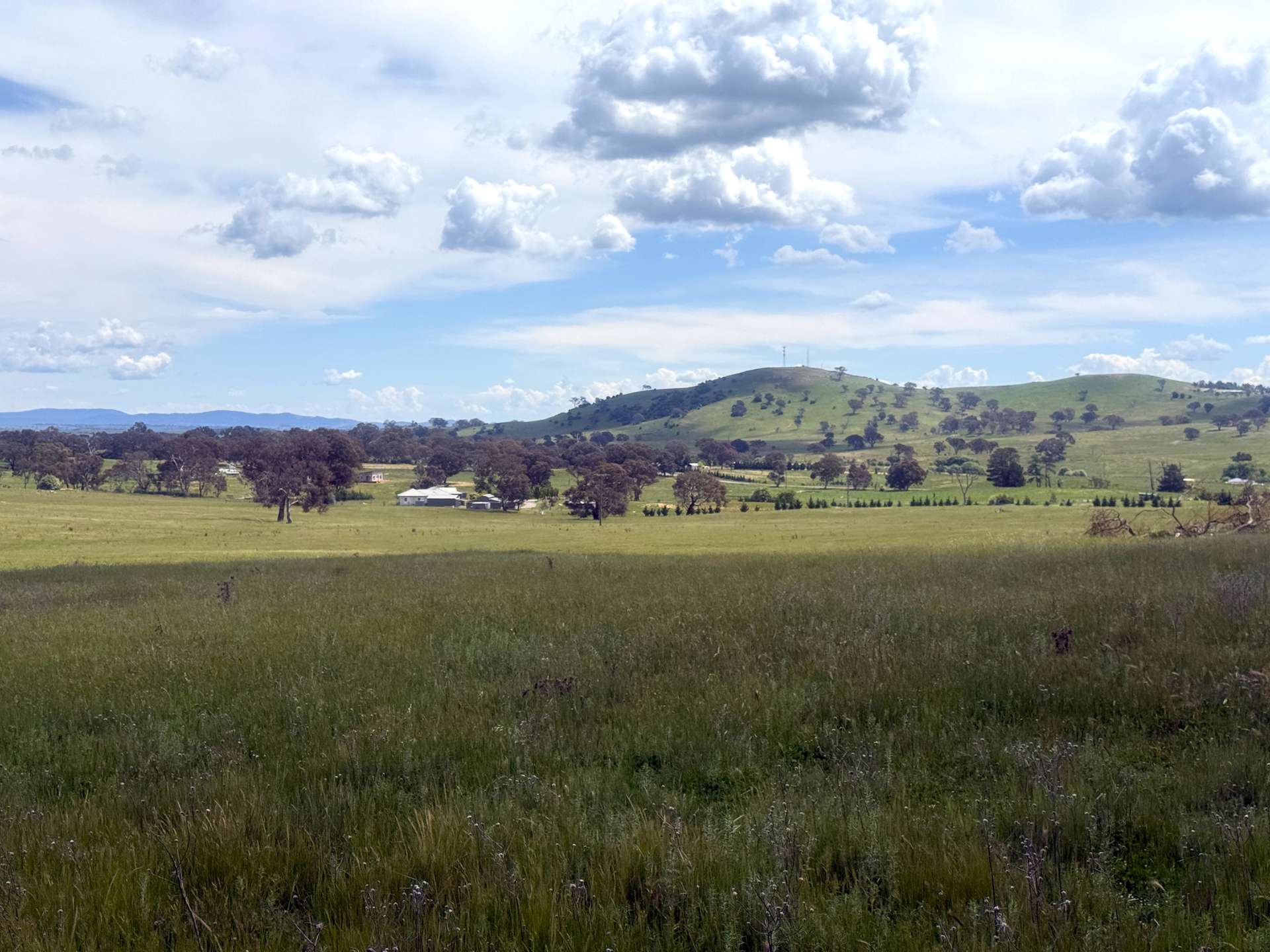 161 Yass Valley Way, Yass For Sale by Farmbuy.com - image 2