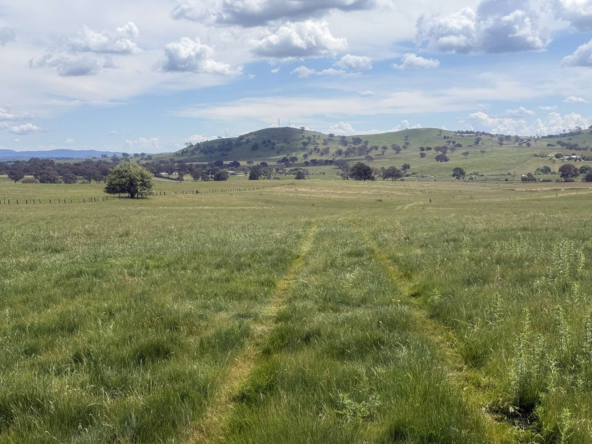 161 Yass Valley Way, Yass For Sale by Farmbuy.com - image 4