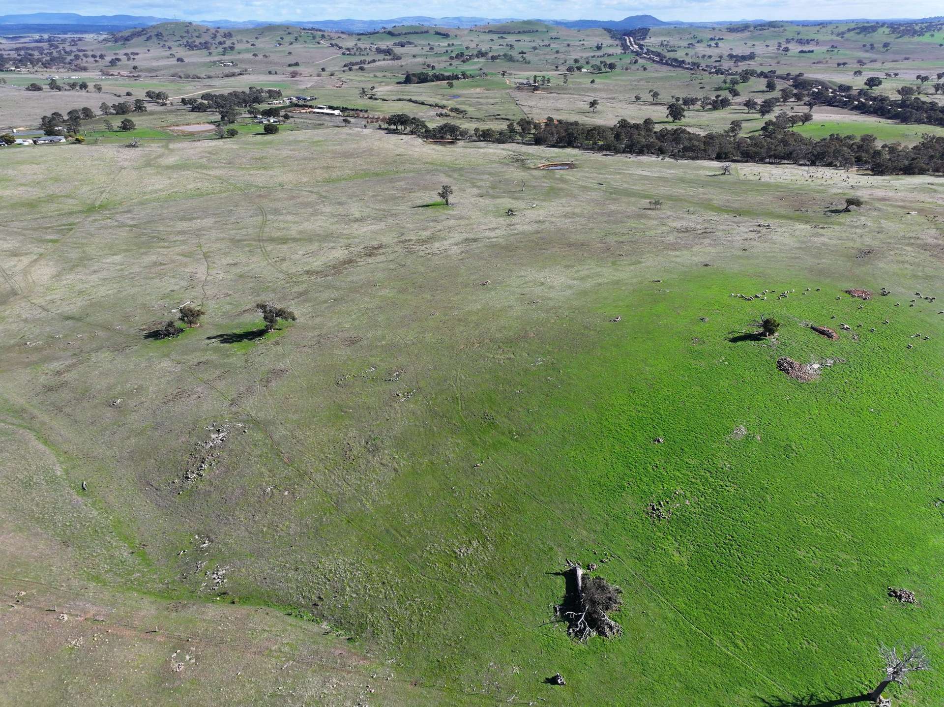 83 Yass Valley Way, Yass For Sale by Farmbuy.com - image 2