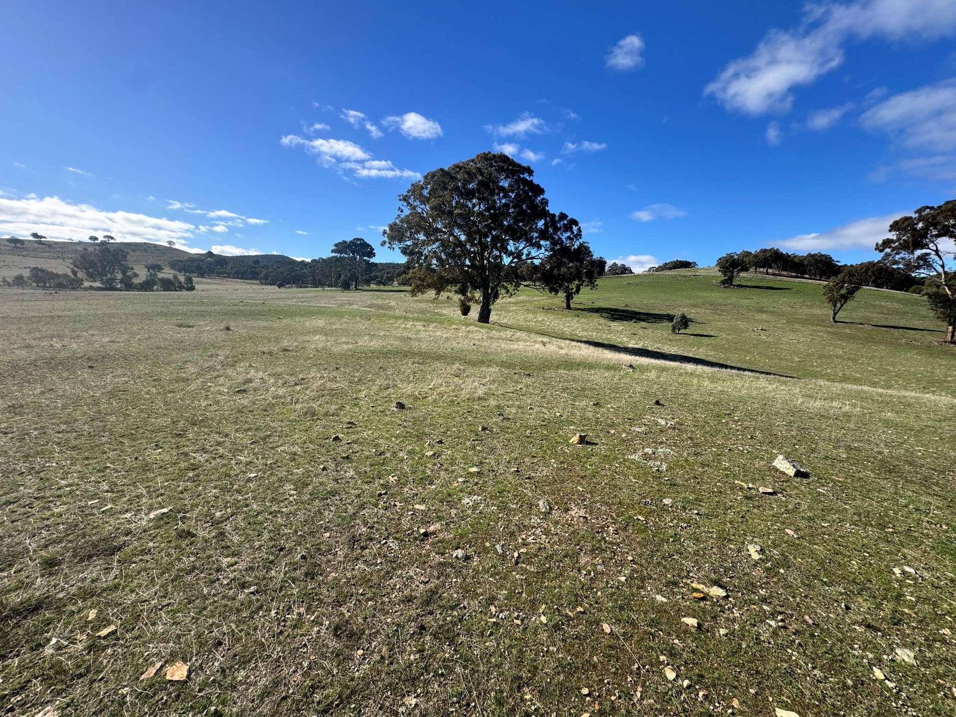 129 Yass Valley Way, Yass For Sale by Farmbuy.com - image 12