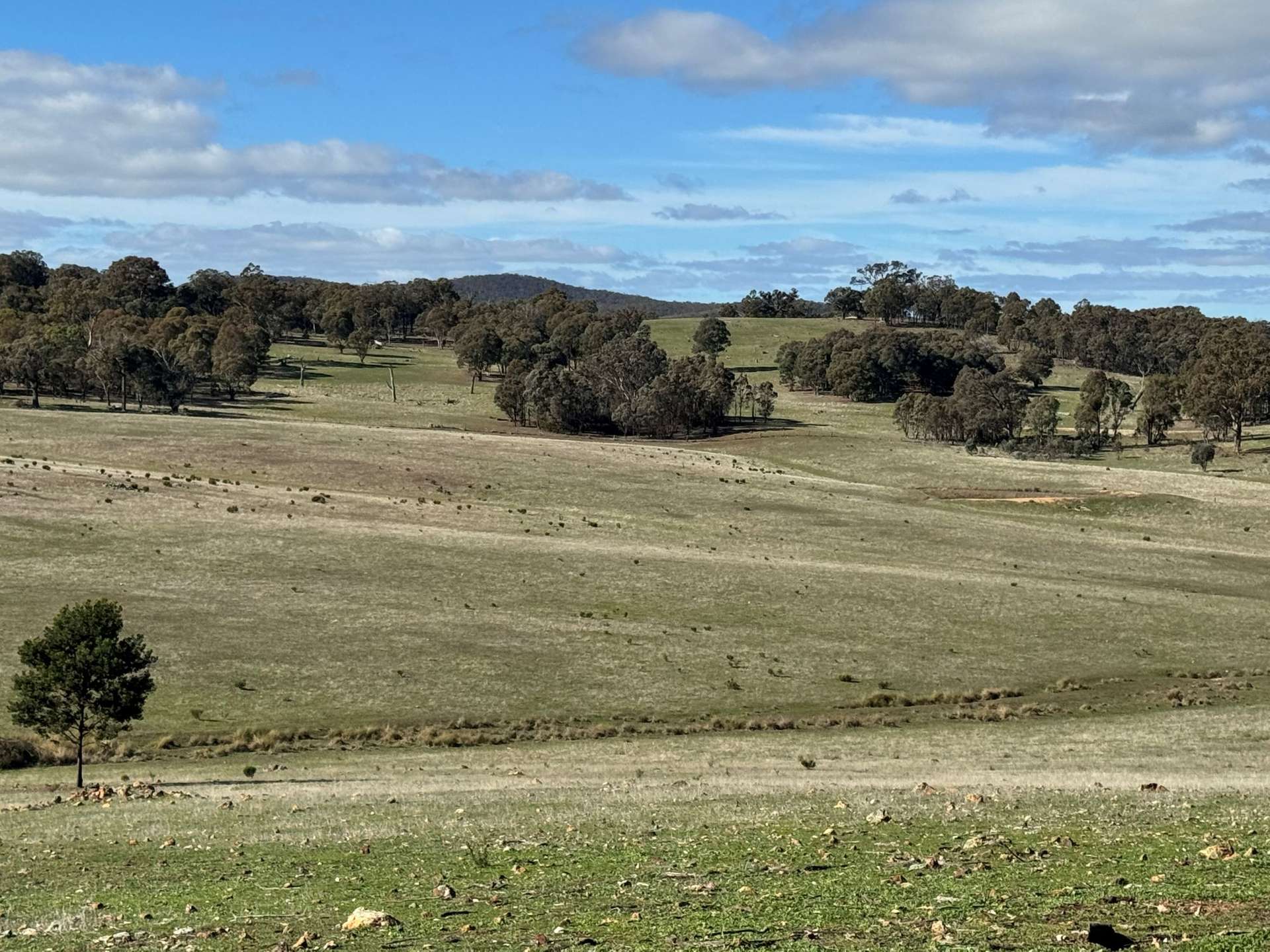 129 Yass Valley Way, Yass For Sale by Farmbuy.com - image 5