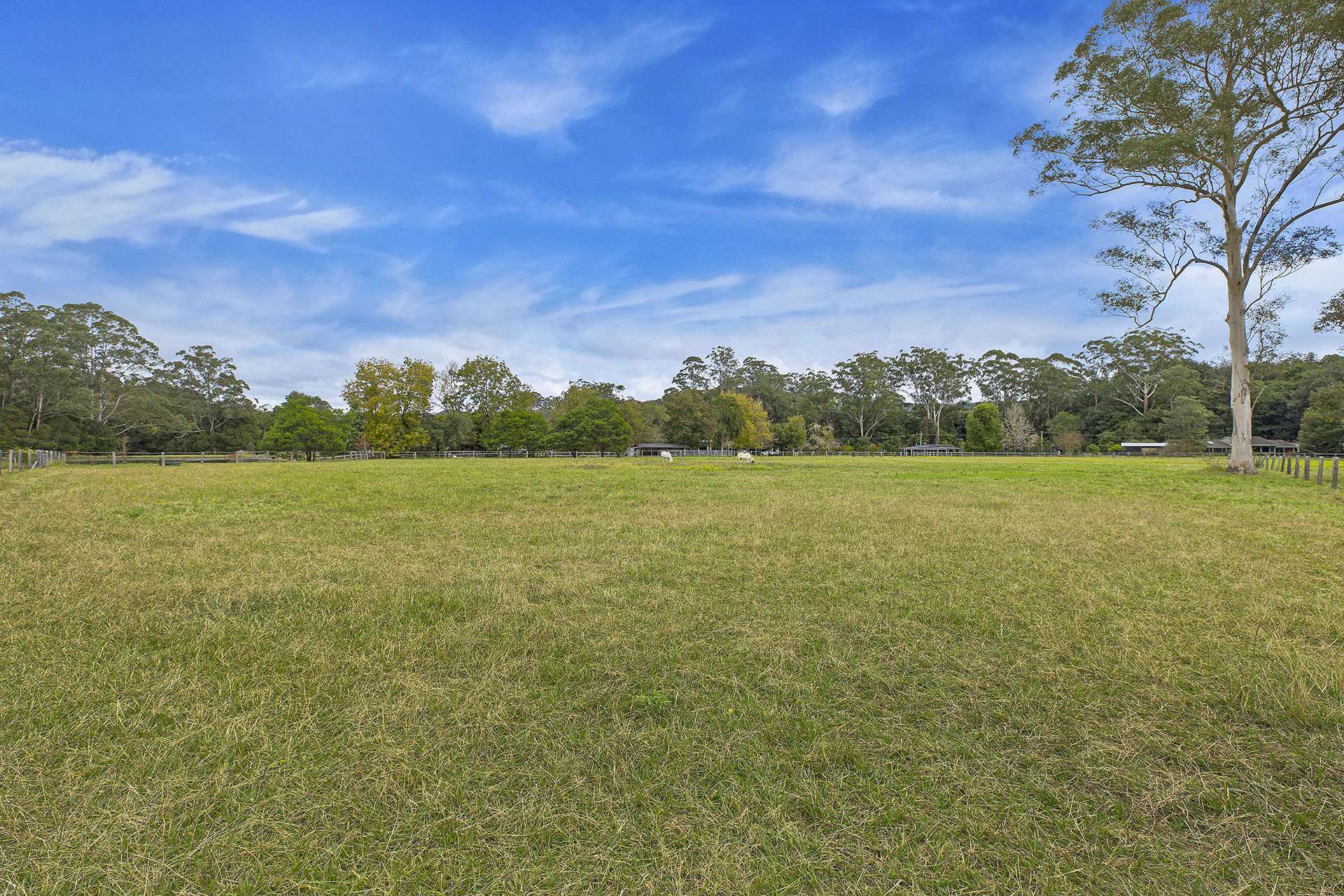 1355 Dooralong Road, Dooralong For Sale by Farmbuy.com - image 25