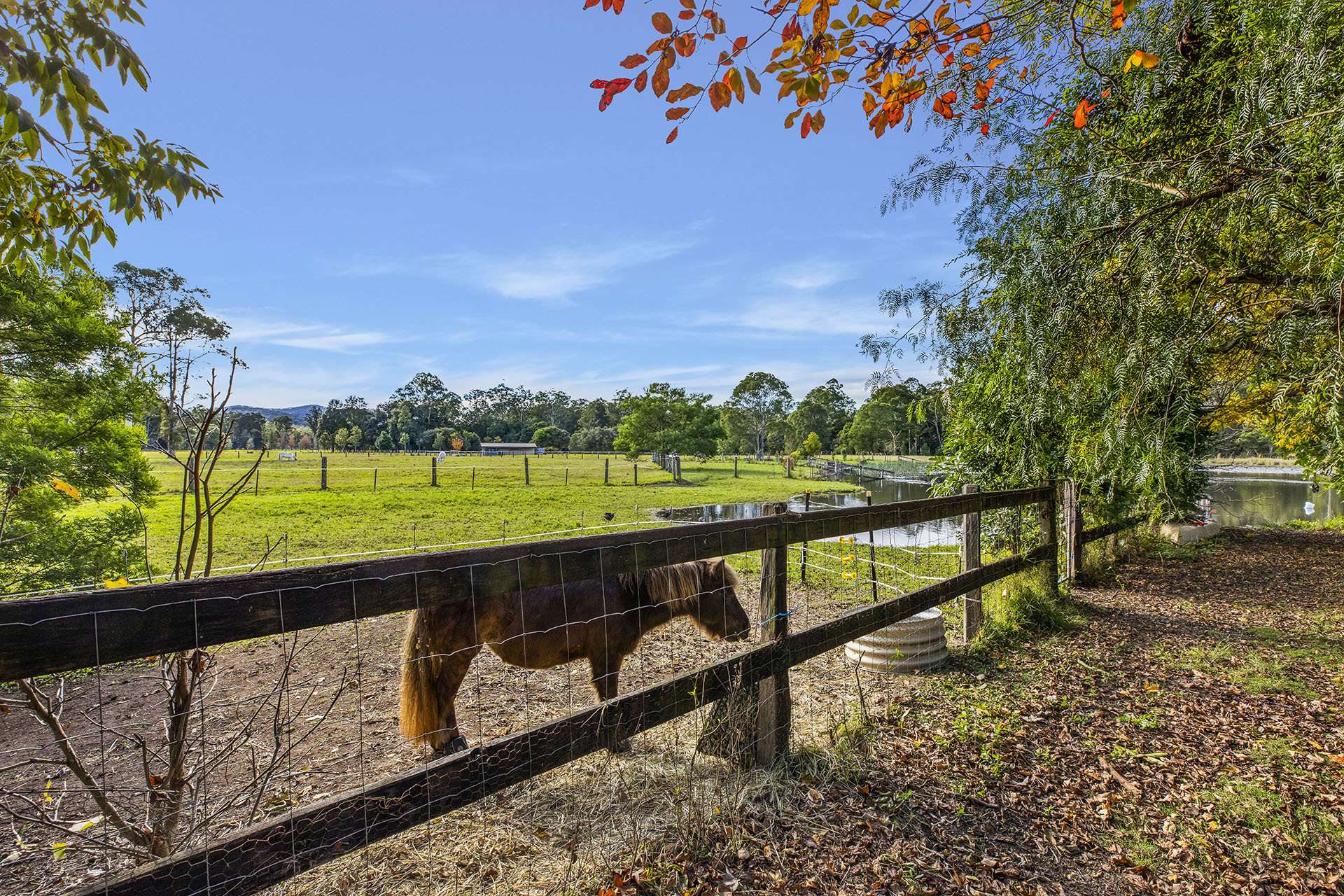 1355 Dooralong Road, Dooralong For Sale by Farmbuy.com - image 12