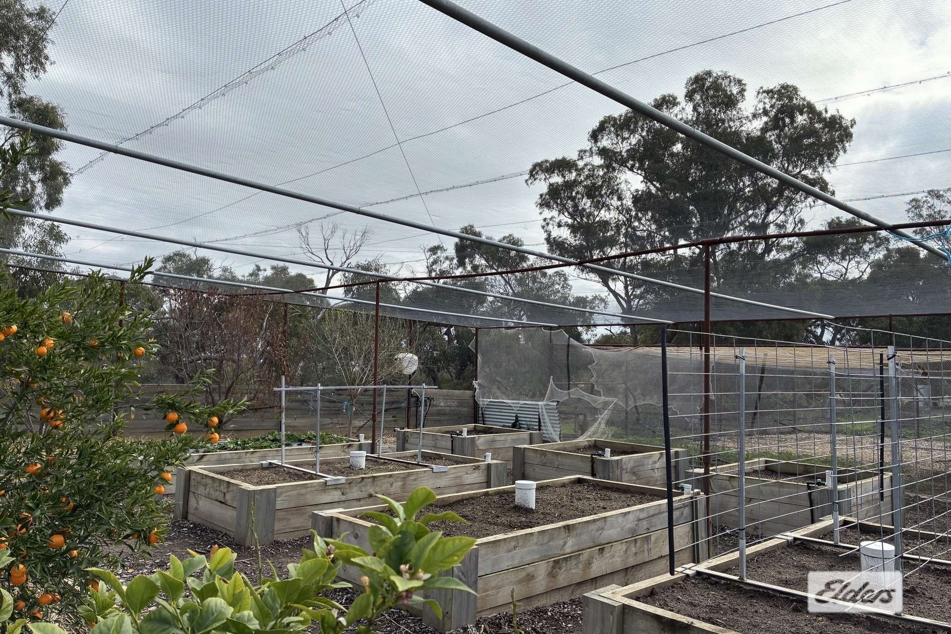 109 Glenvale Road, Deep Lead For Sale by Farmbuy.com - image 22