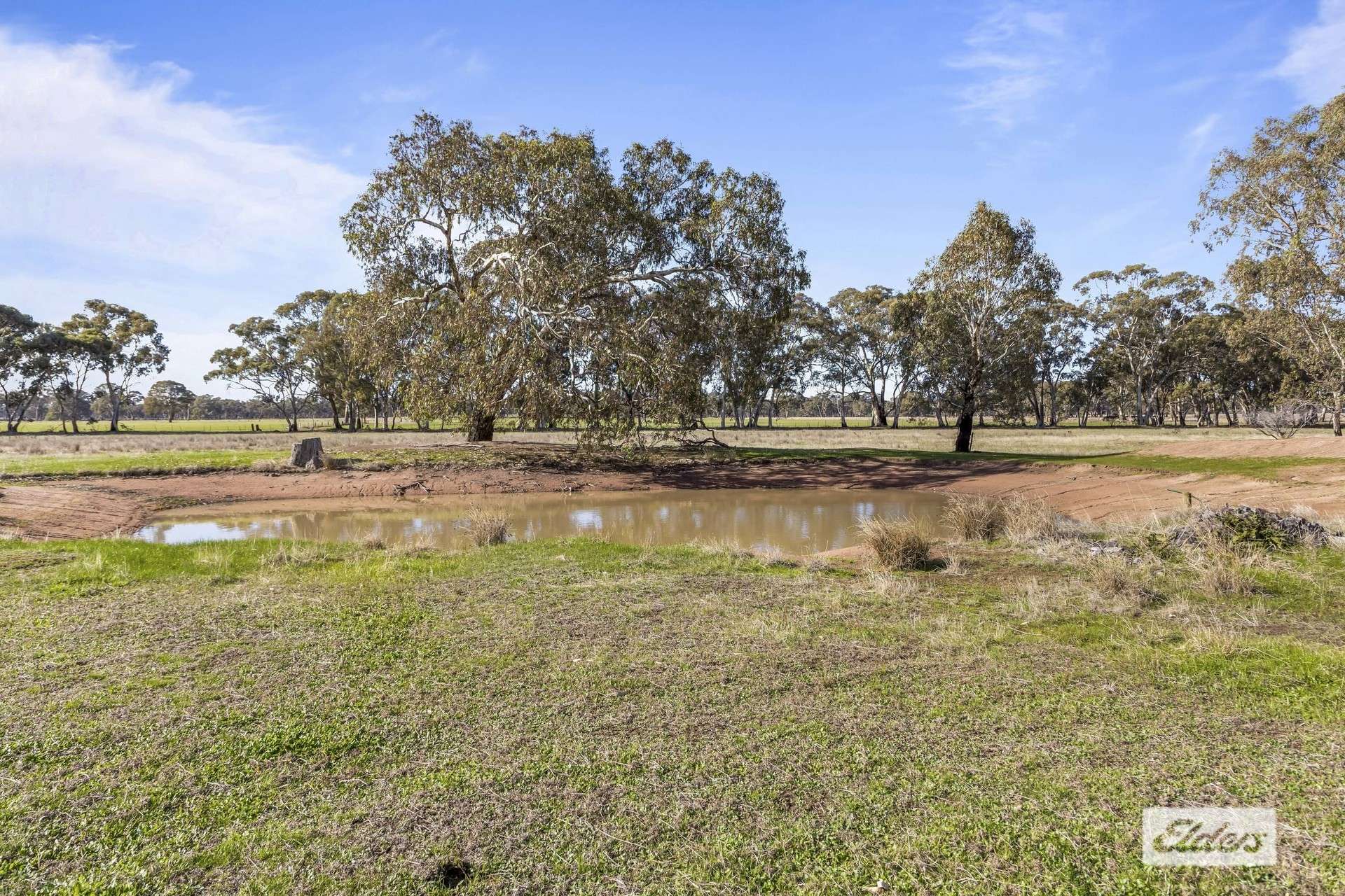 109 Glenvale Road, Deep Lead For Sale by Farmbuy.com - image 29