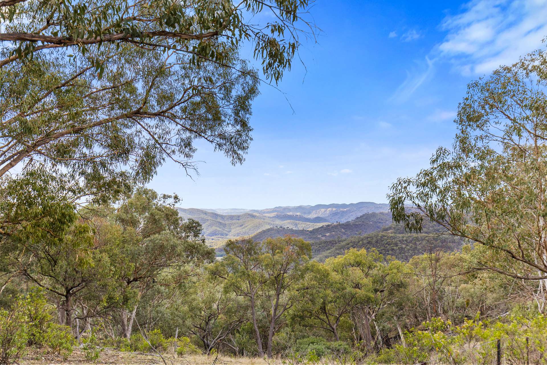 36 Wallawaugh Road, Hargraves Sold by Farmbuy.com - image 1