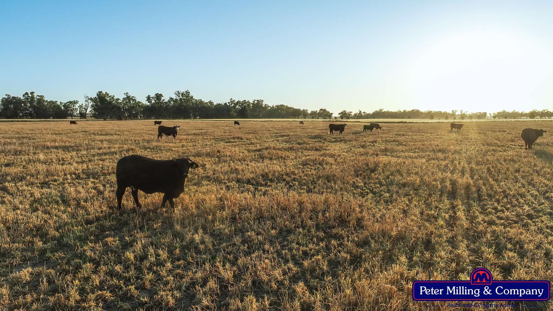 62L Rawsonville Road, Dubbo For Sale by Farmbuy.com - image 9