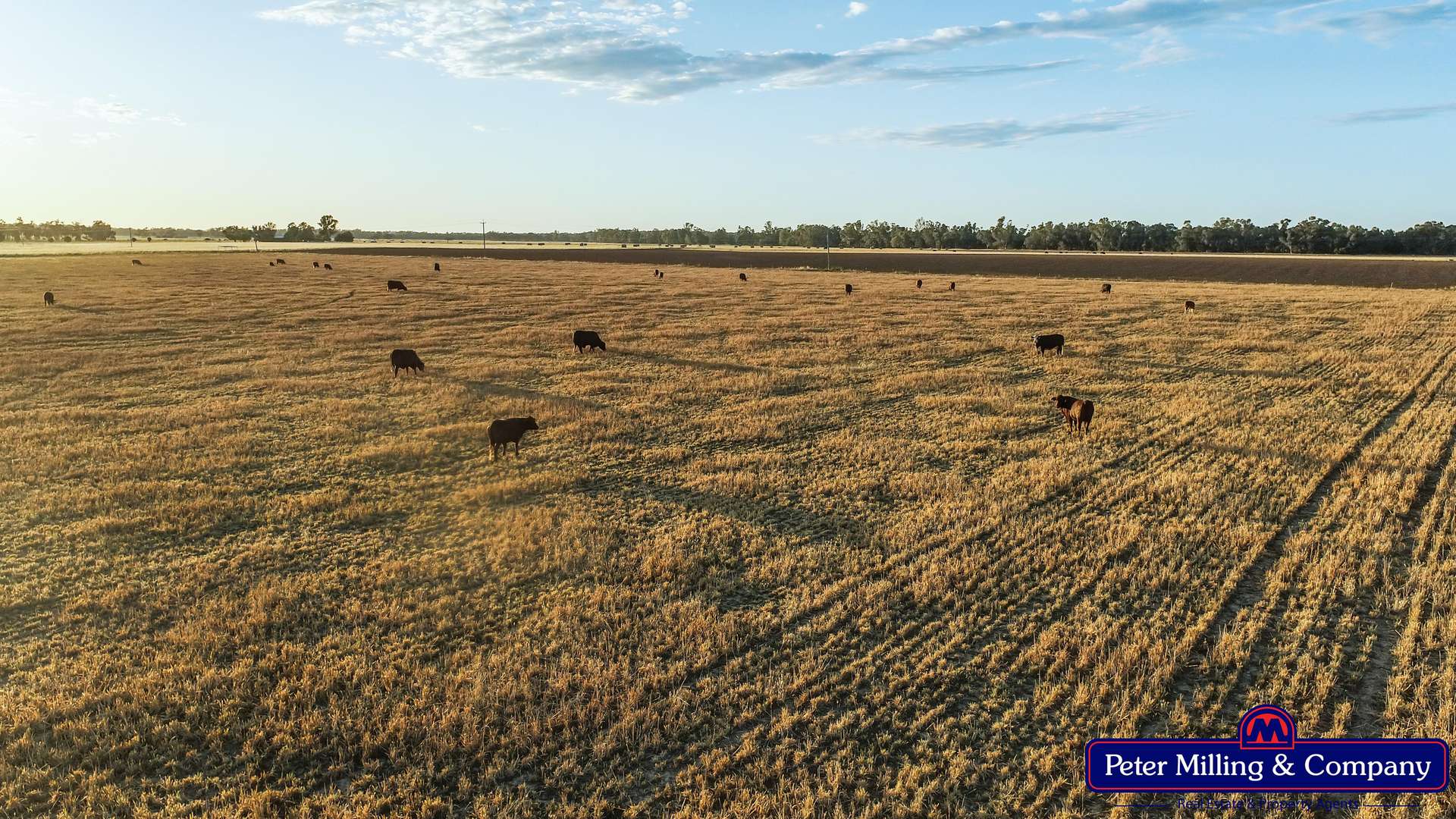 62L Rawsonville Road, Dubbo For Sale by Farmbuy.com - image 6
