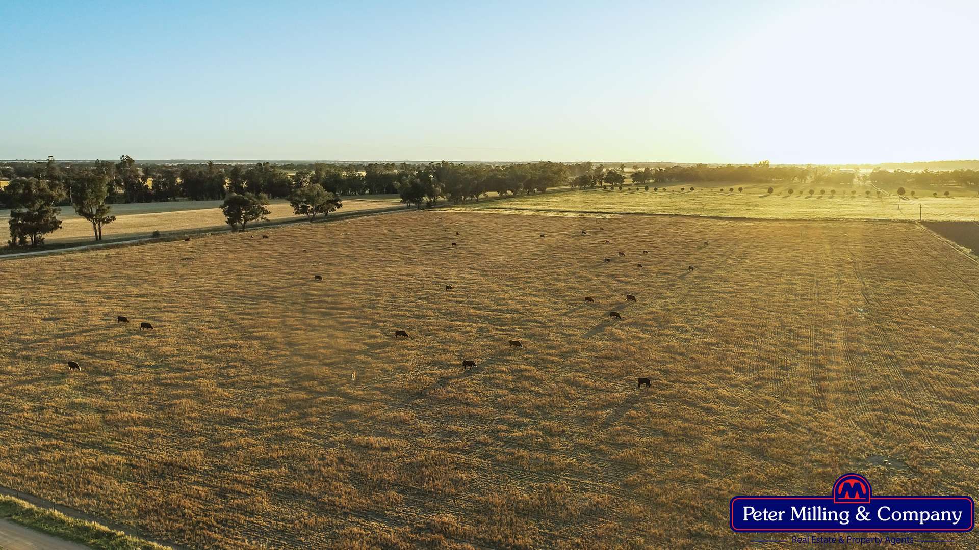 62L Rawsonville Road, Dubbo For Sale by Farmbuy.com - image 4