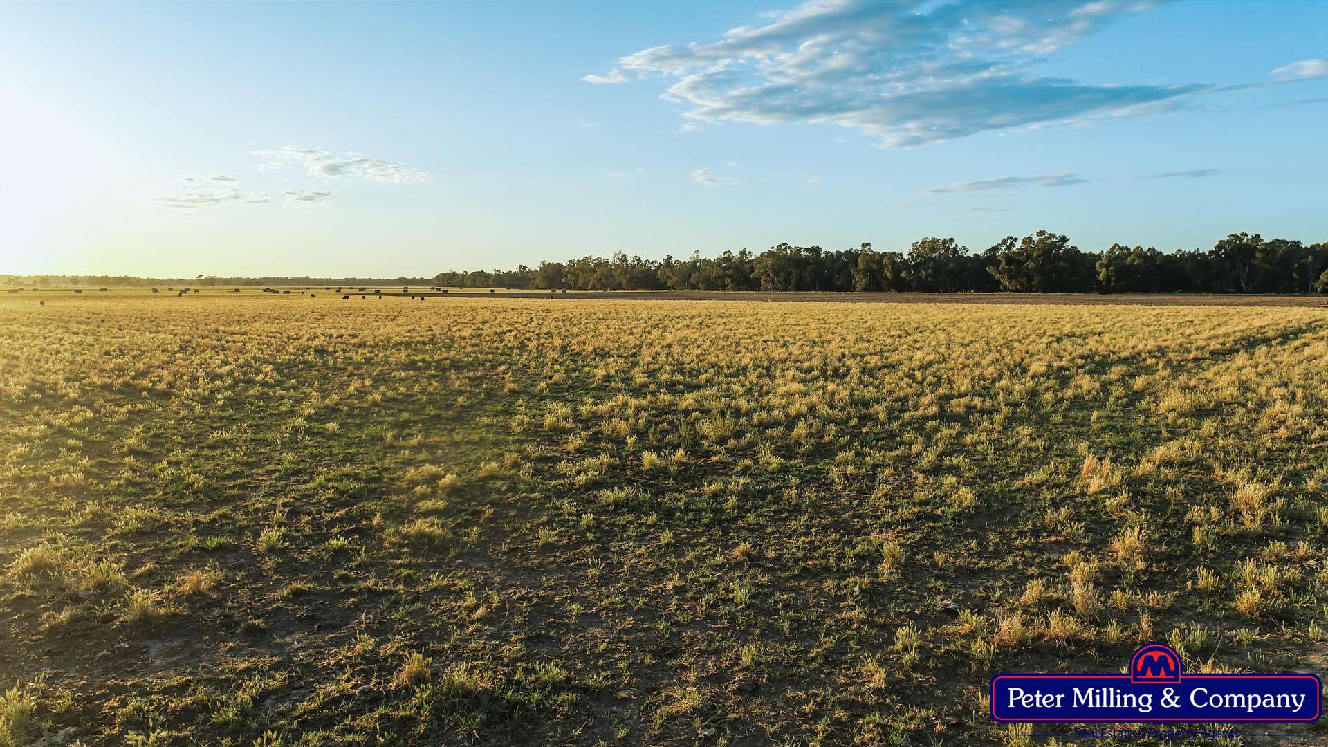 62L Rawsonville Road, Dubbo For Sale by Farmbuy.com - image 3