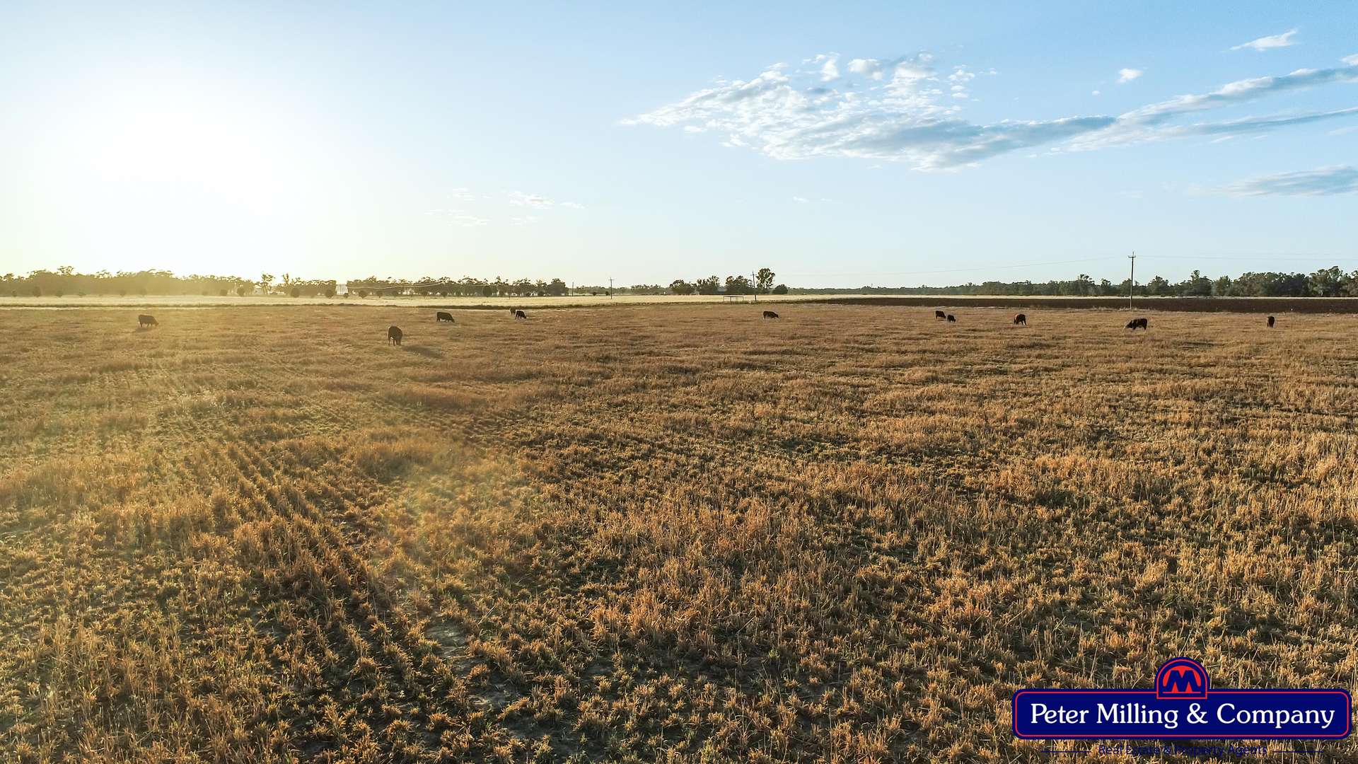 62L Rawsonville Road, Dubbo For Sale by Farmbuy.com - image 8