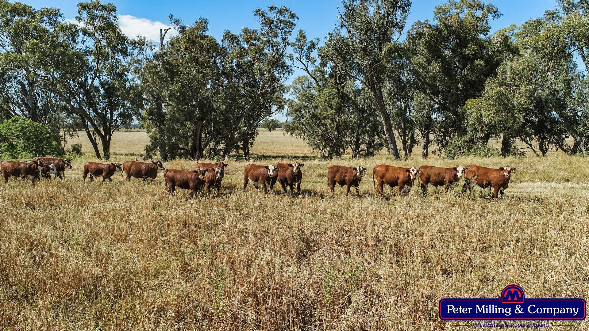 61L Rawsonville Road, Dubbo For Sale by Farmbuy.com - image 5