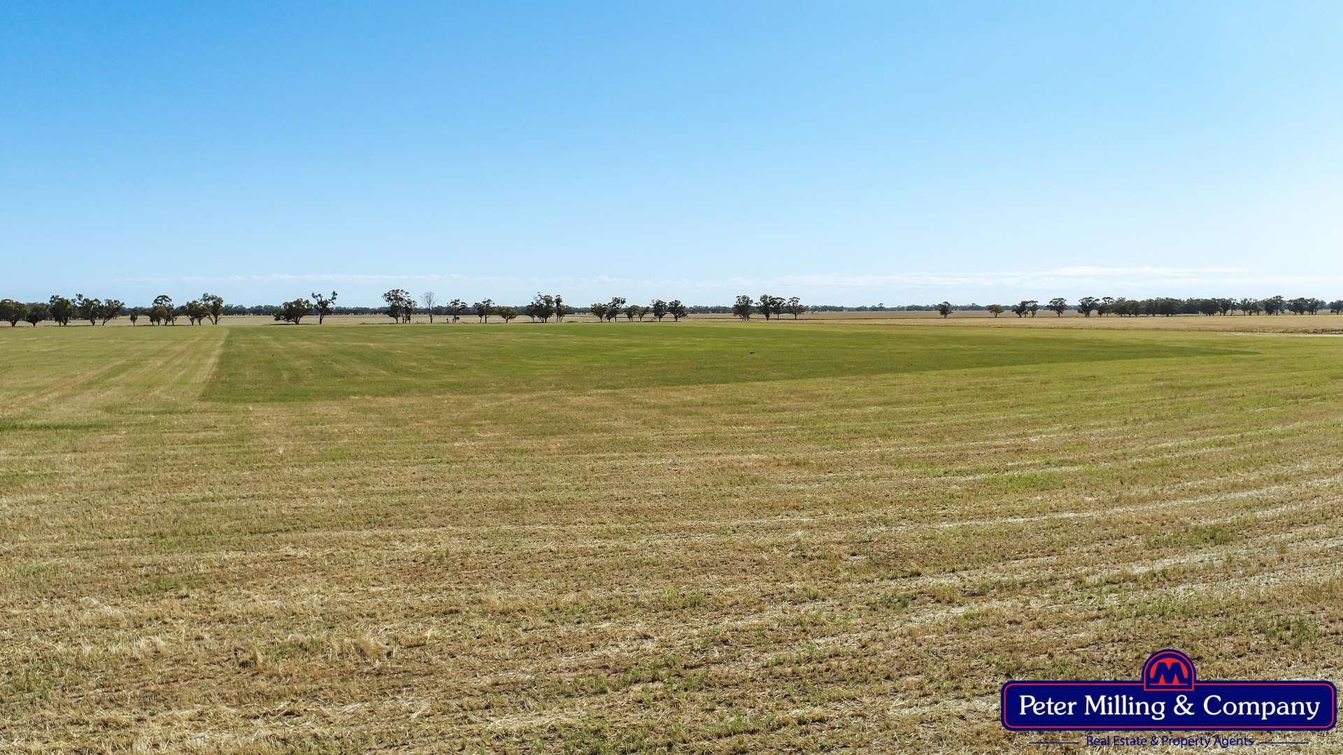 61L Rawsonville Road, Dubbo For Sale by Farmbuy.com - image 4