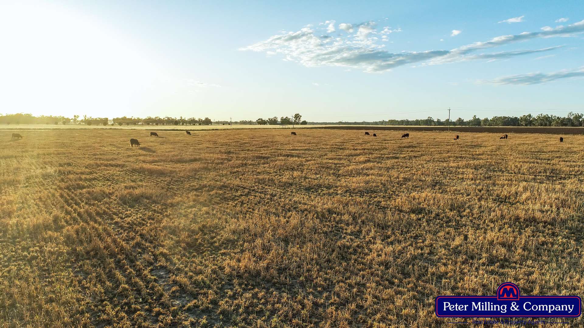62L Rawsonville Road, Dubbo For Sale by Farmbuy.com - image 7