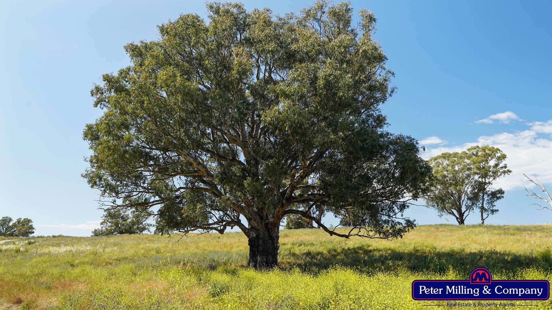 61L Rawsonville Road, Dubbo For Sale by Farmbuy.com - image 11