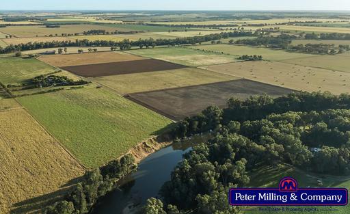 Farm For Sale - NSW - Dubbo - 2830 - Rare Riverfront Offering 