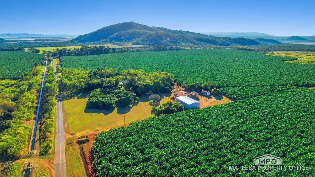 1597 Chewko Road, Walkamin QLD 4872