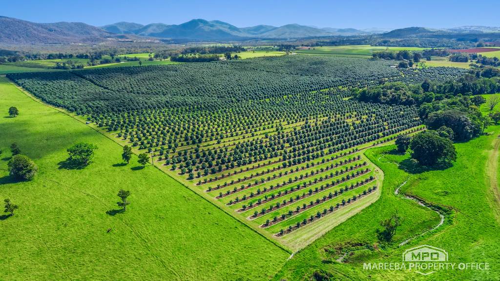 46 Hughes Road, Upper Barron QLD 4883