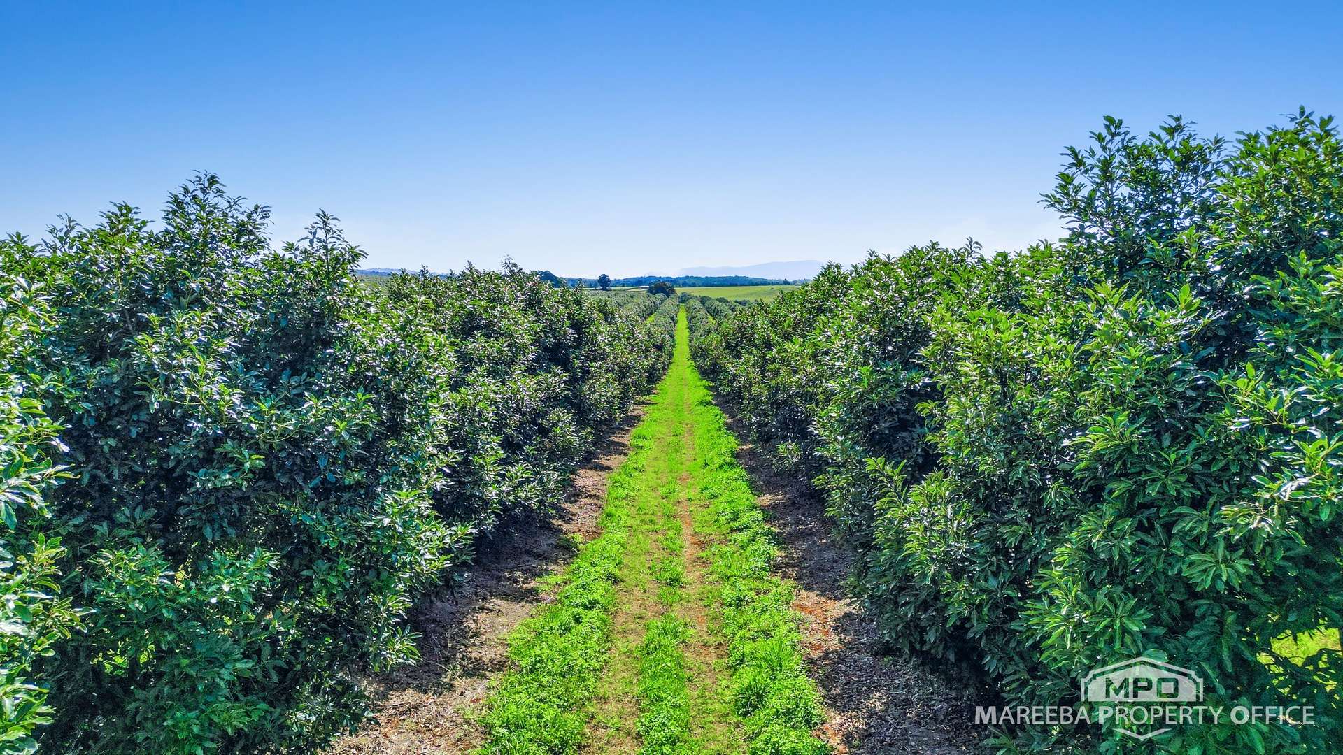 46 Hughes Road, Upper Barron For Sale by Farmbuy.com - image 17