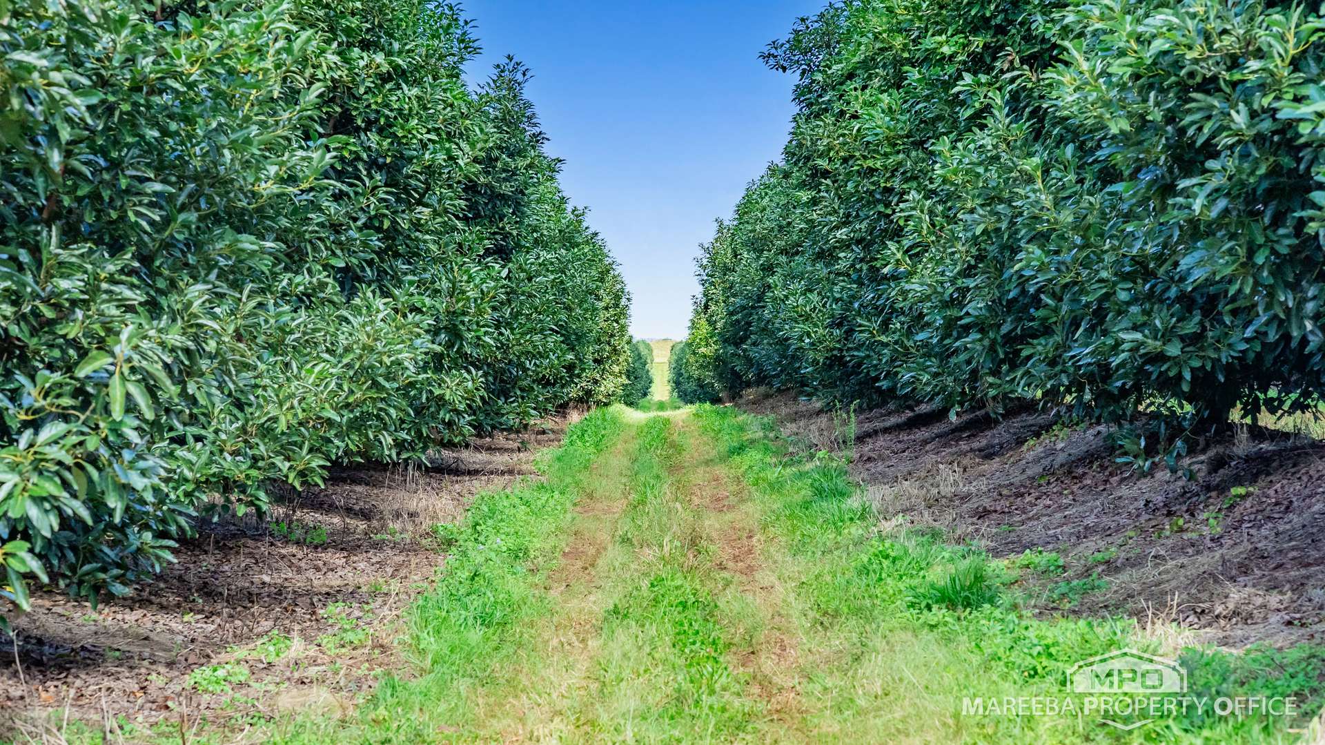 46 Hughes Road, Upper Barron For Sale by Farmbuy.com - image 15