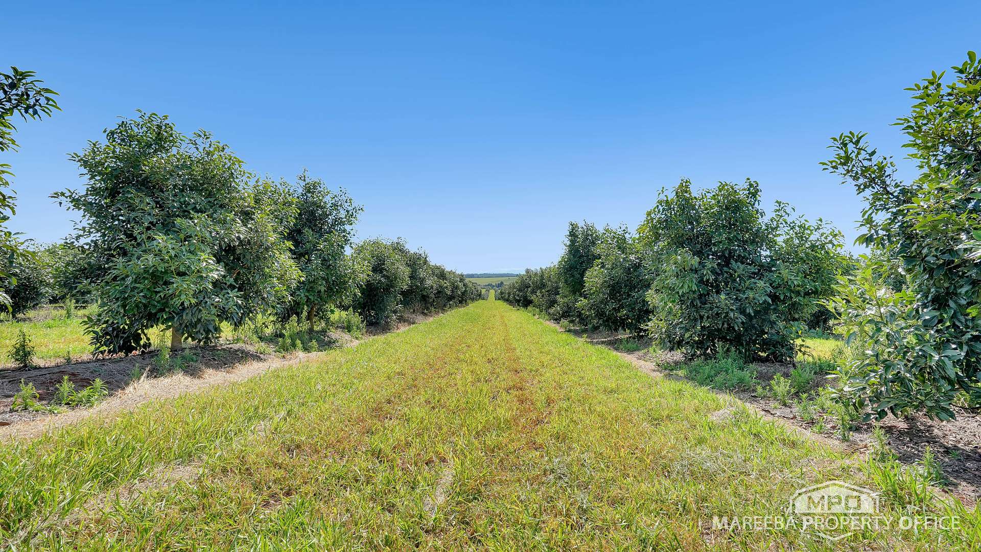 46 Hughes Road, Upper Barron For Sale by Farmbuy.com - image 31
