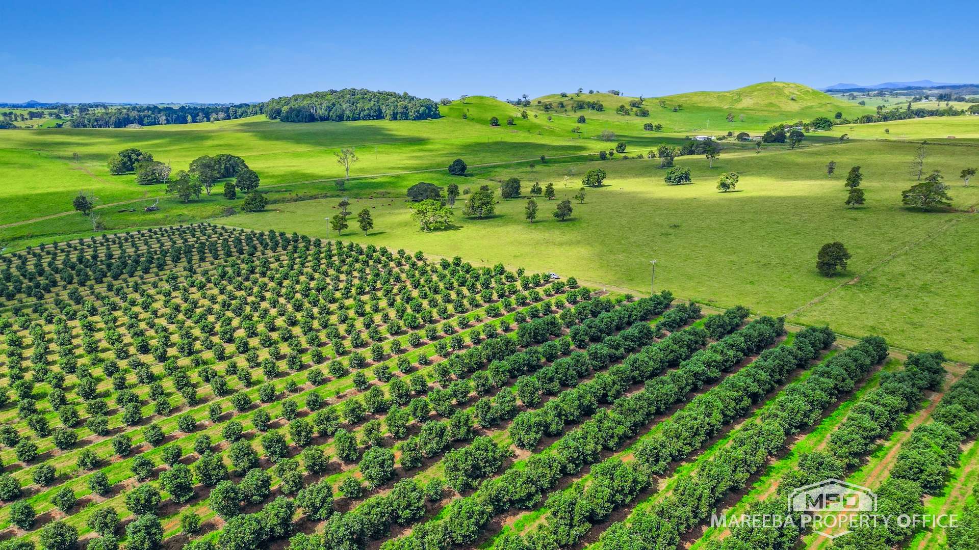 46 Hughes Road, Upper Barron For Sale by Farmbuy.com - image 34