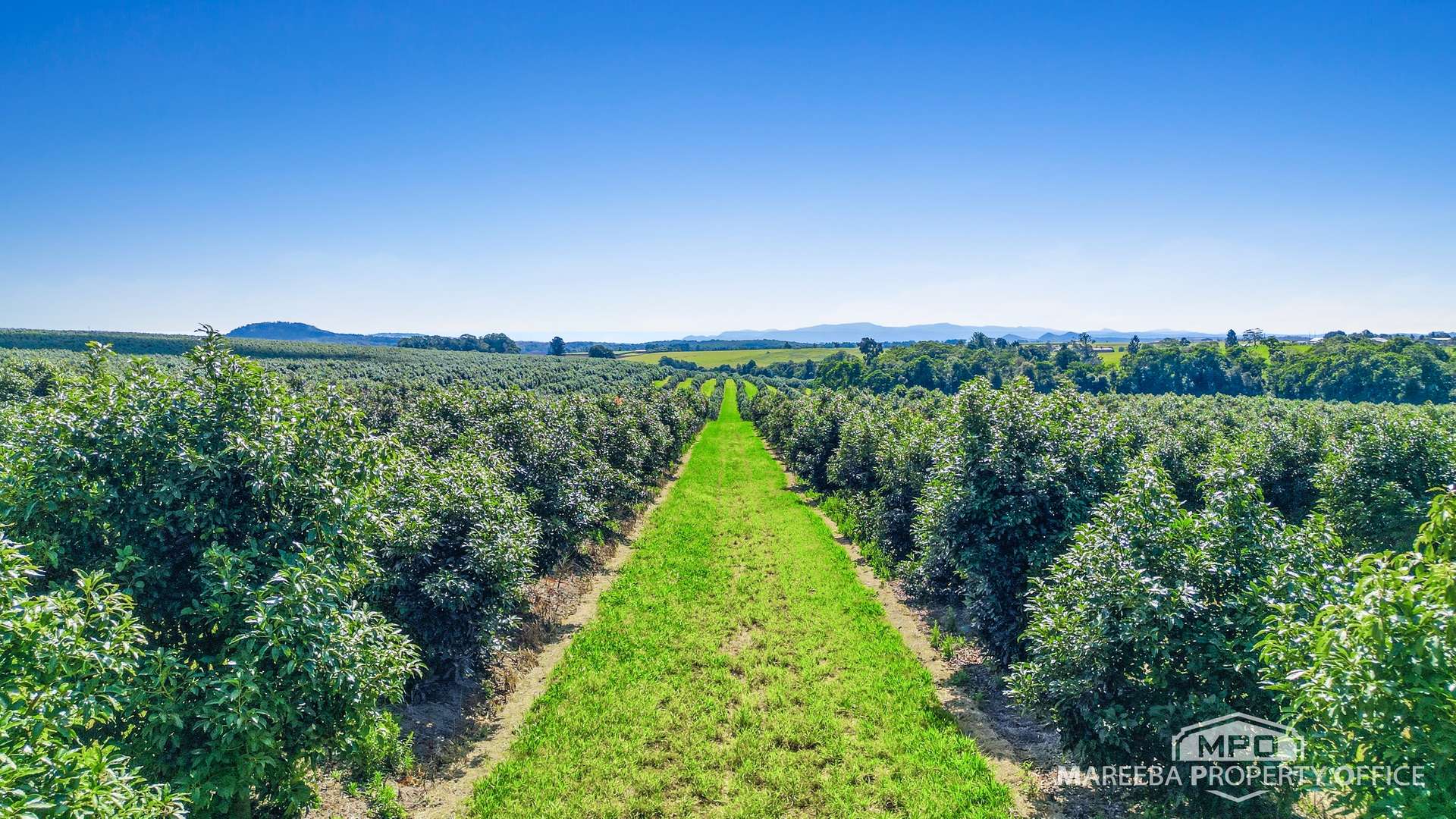 46 Hughes Road, Upper Barron For Sale by Farmbuy.com - image 2