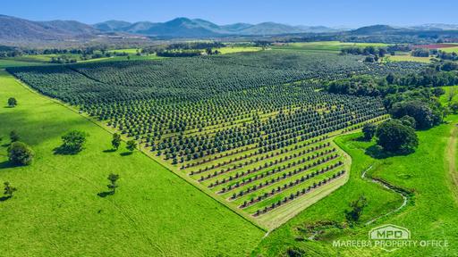 46 Hughes Road, Upper Barron QLD 4883