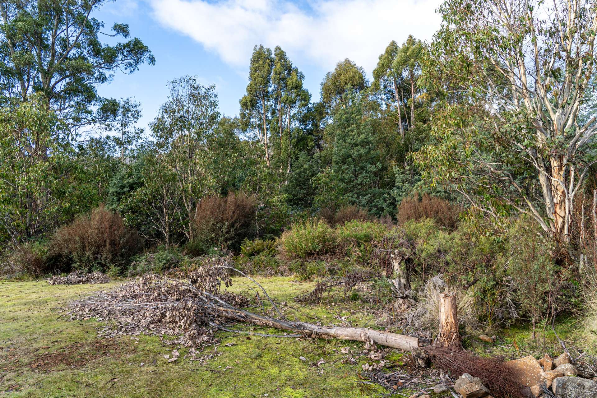 256 Bradys Lake Road, Bradys Lake For Sale by Farmbuy.com - image 17