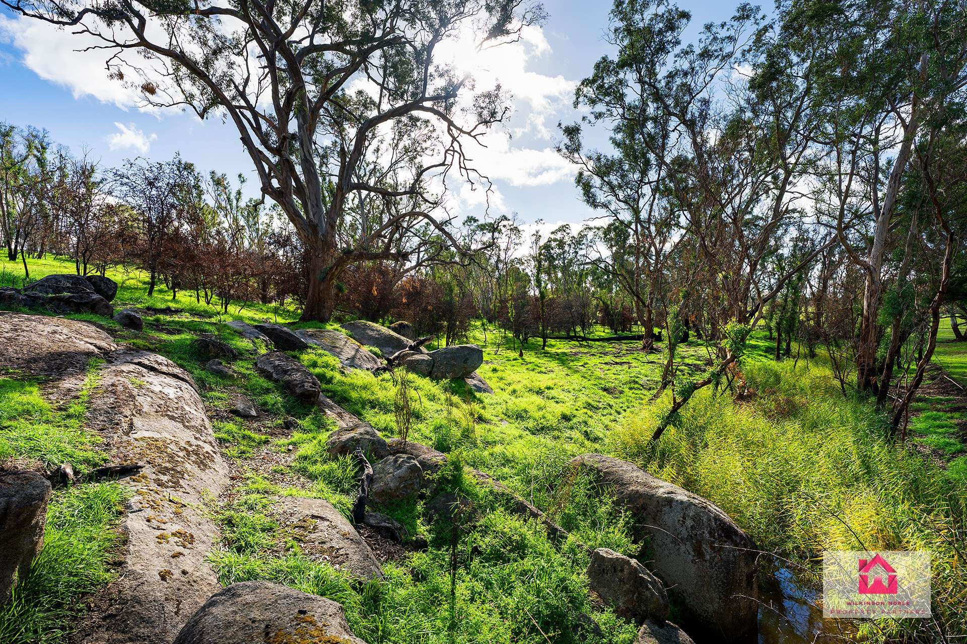 160 Harmony Way, Harcourt For Sale by Farmbuy.com - image 4