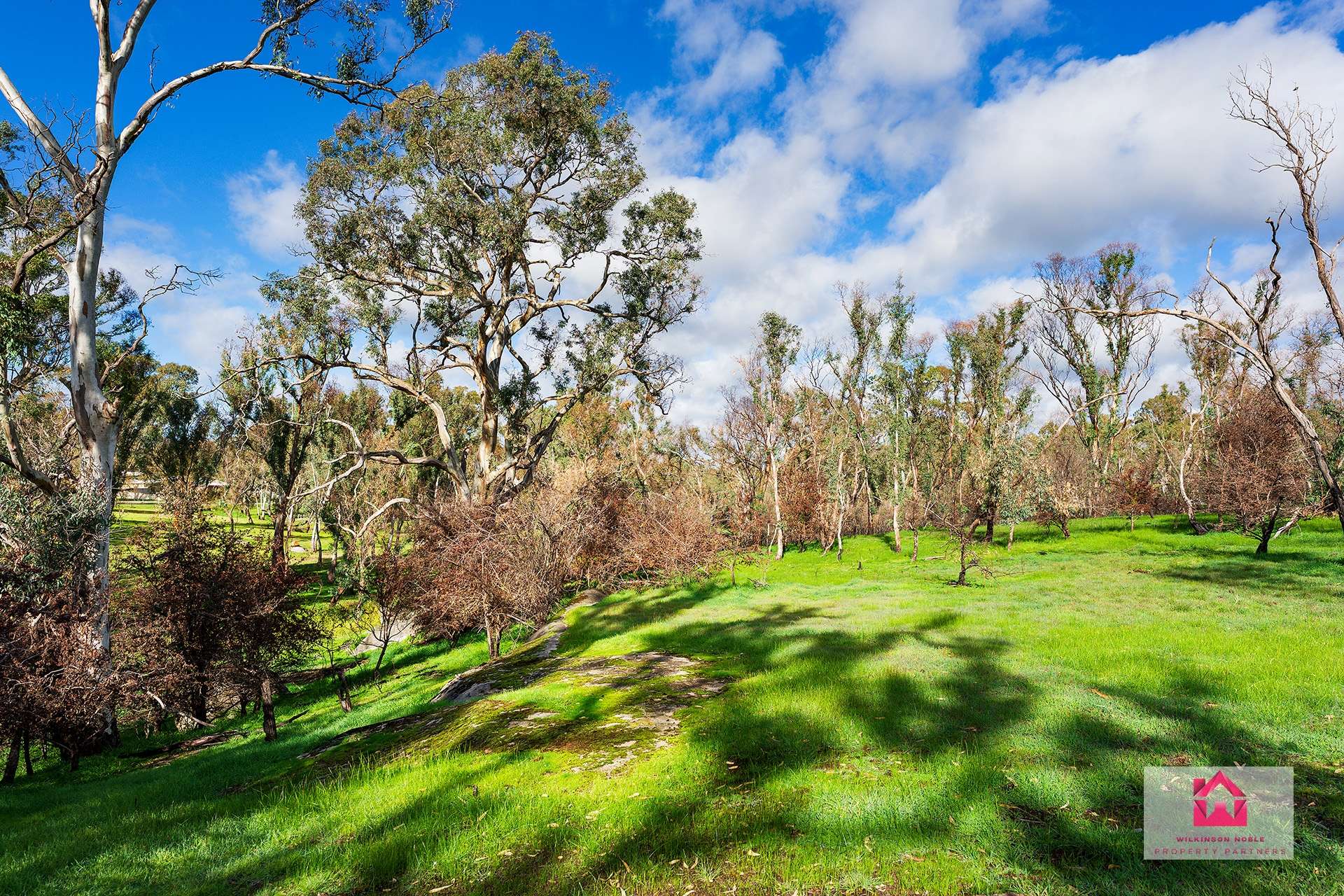 160 Harmony Way, Harcourt For Sale by Farmbuy.com - image 13