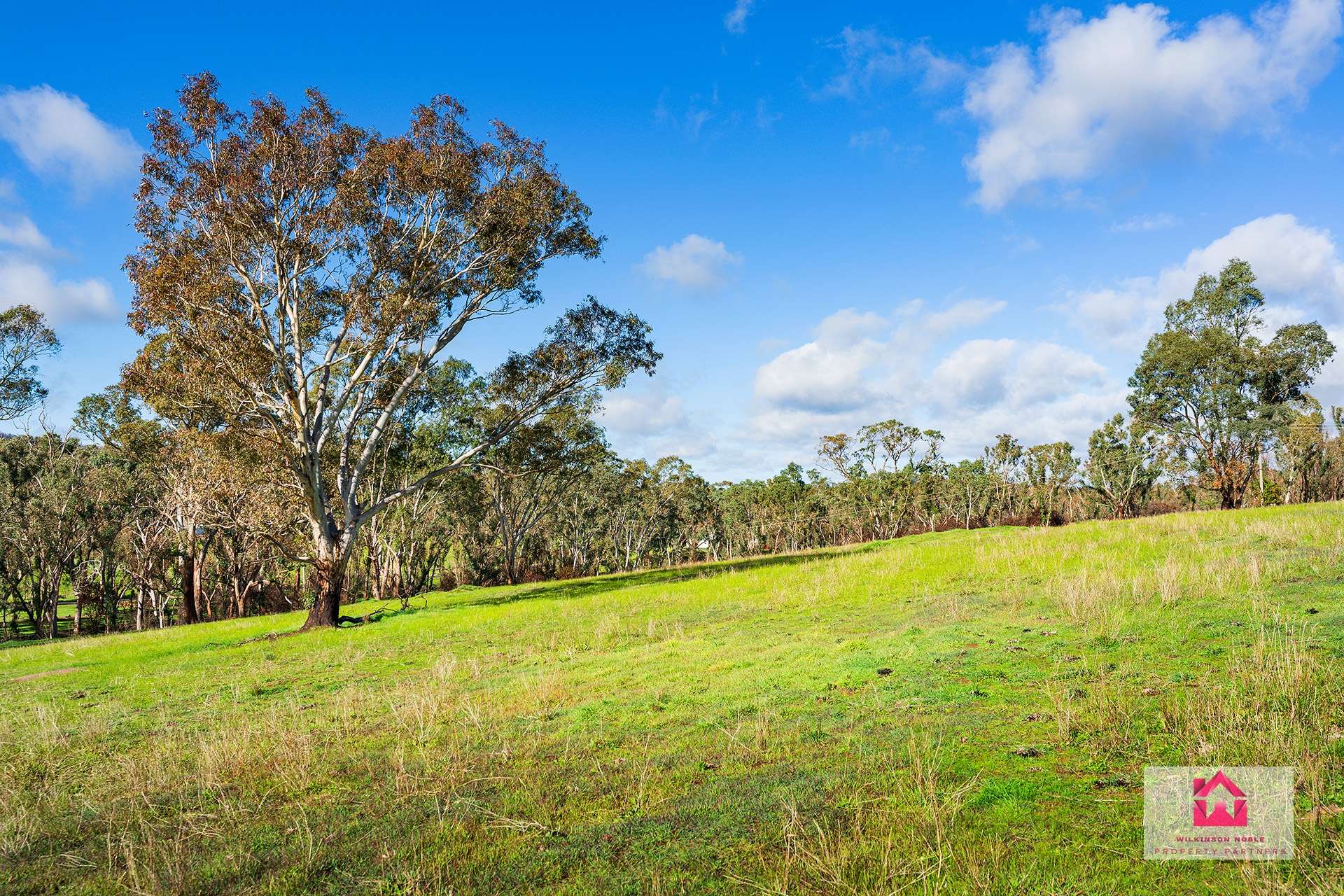 160 Harmony Way, Harcourt For Sale by Farmbuy.com - image 3