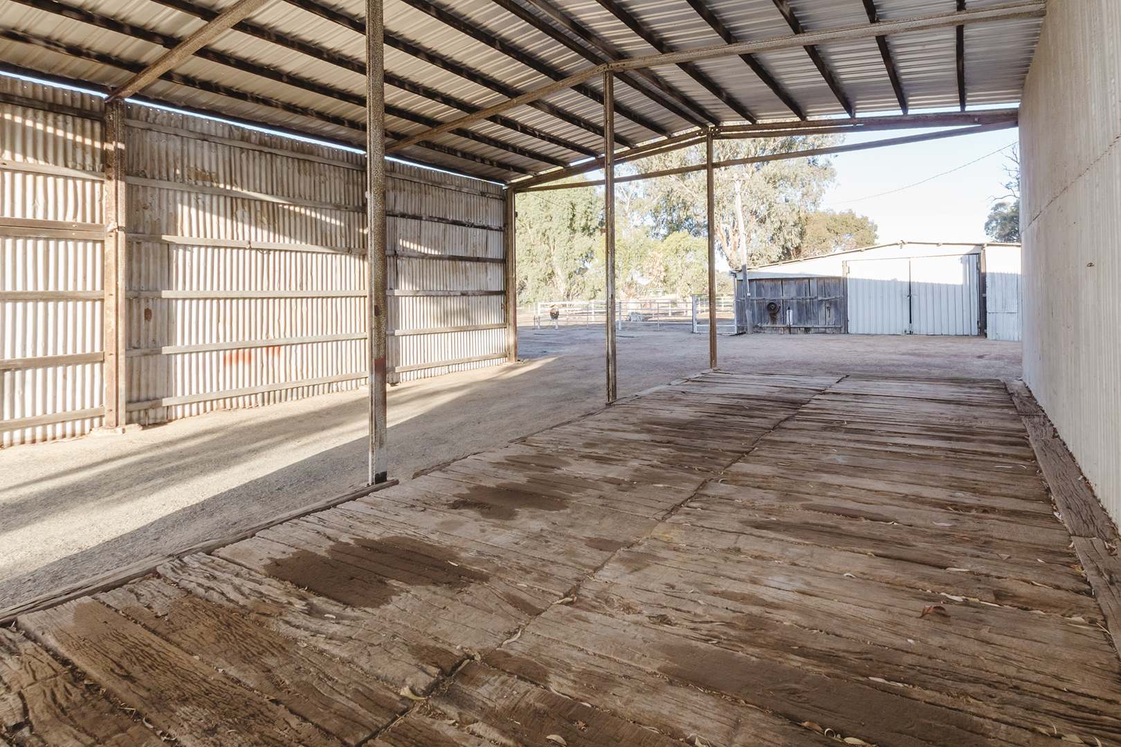 58 Havelock Street, Narrogin For Sale by Farmbuy.com - image 22