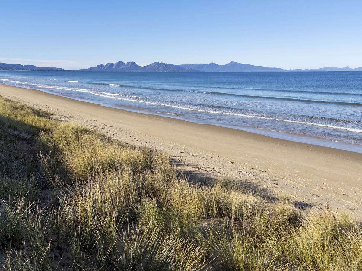 648 Dolphin Sands Road, Dolphin Sands For Sale by Farmbuy.com - image 5