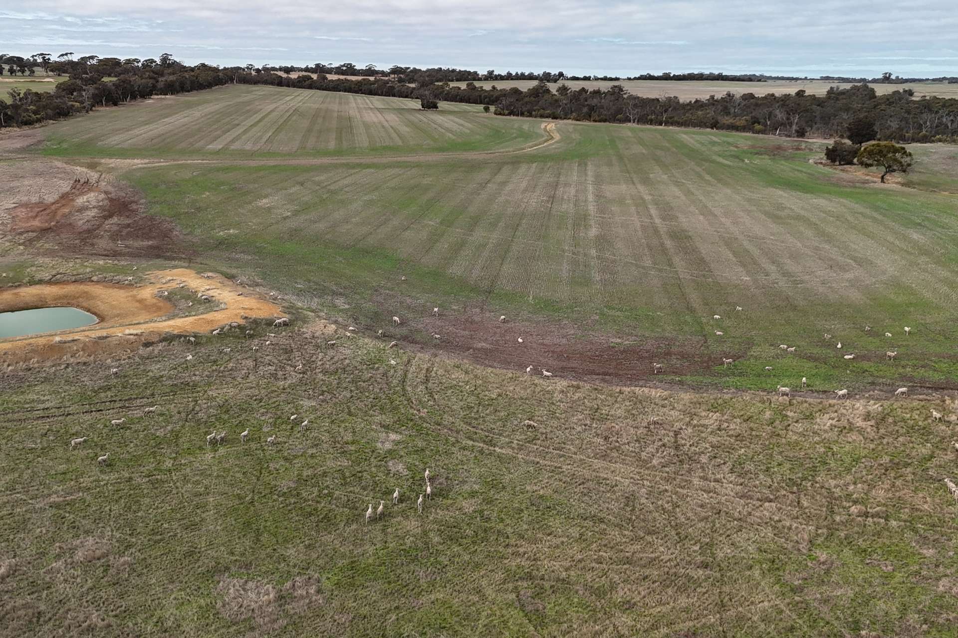 Lot 7138,  Robinson Road, Woodanilling For Sale by Farmbuy.com - image 15